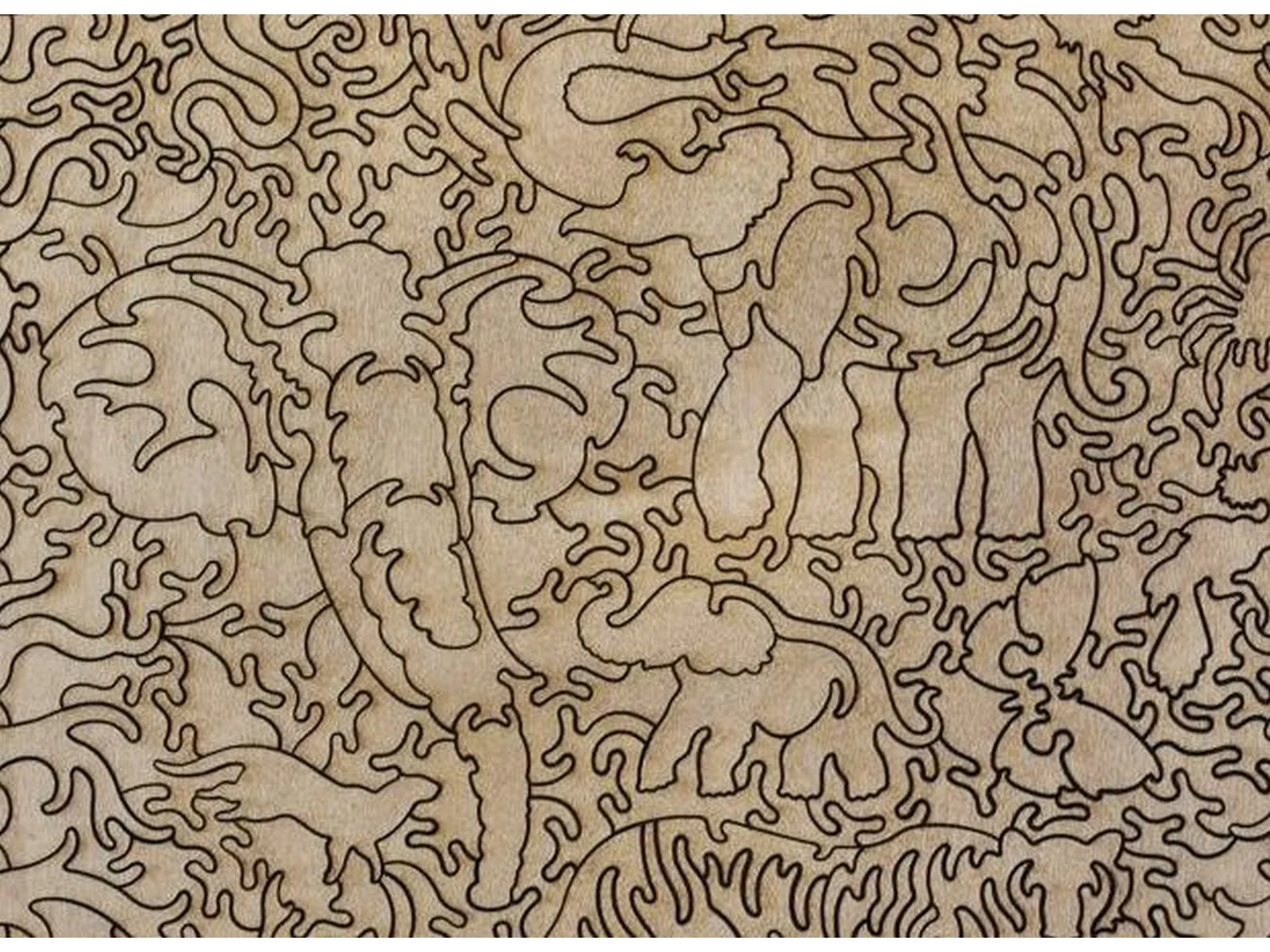 Elephant Pool - Image 4