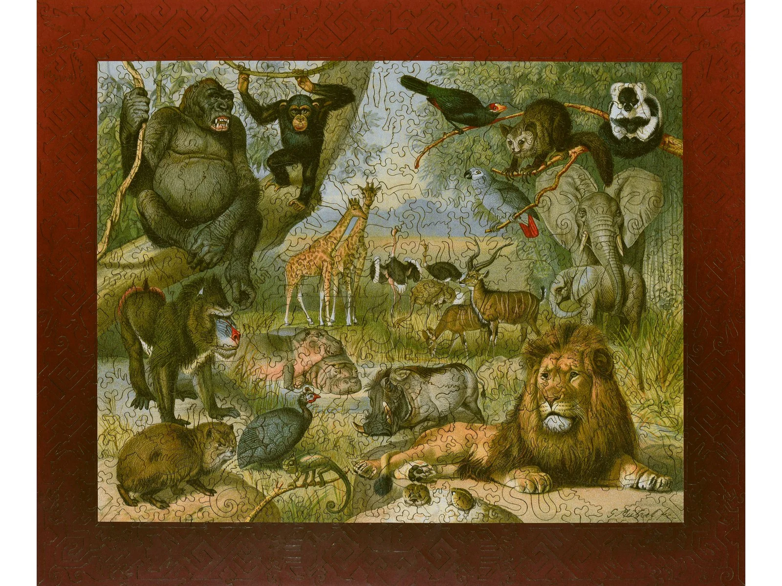 Ethiopian Fauna