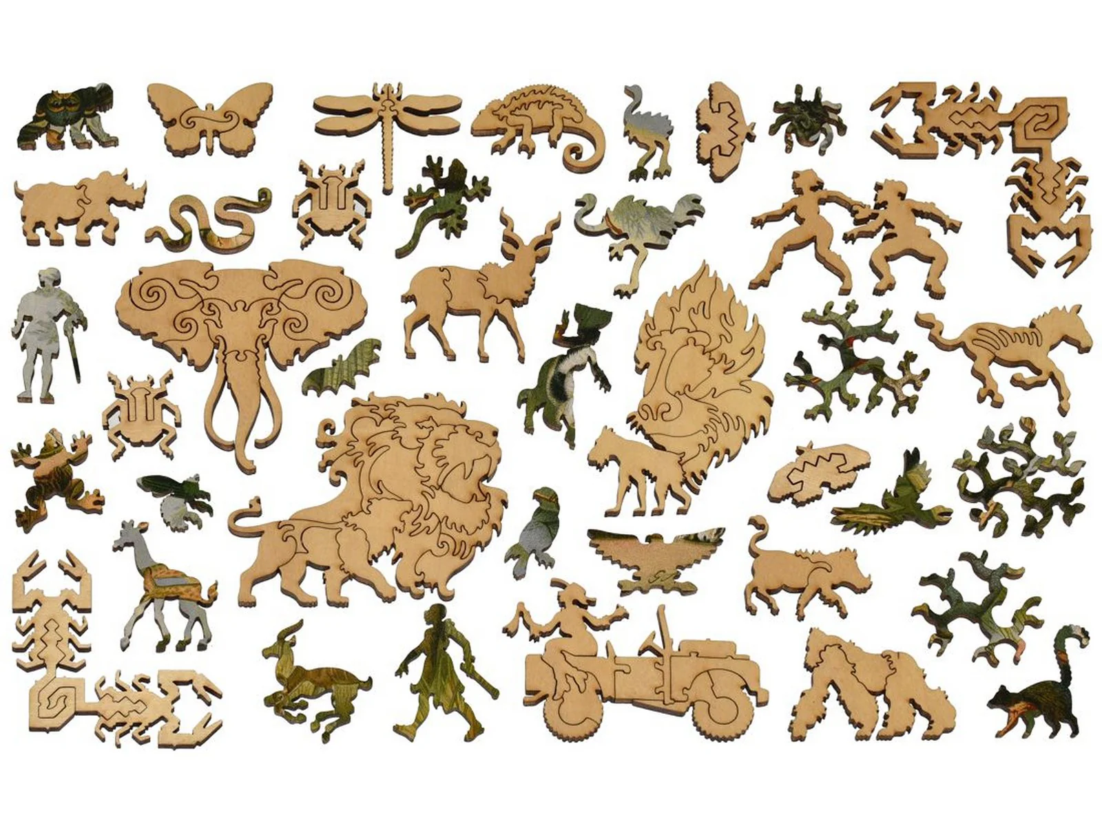 Ethiopian Fauna - Image 4