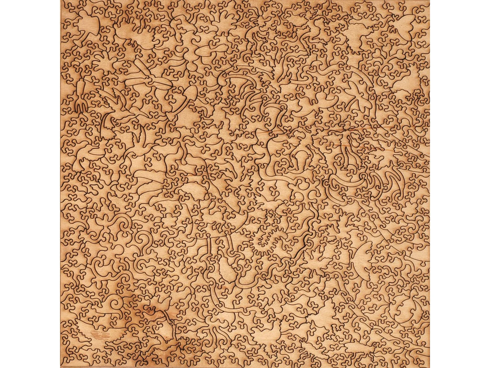 Fall Garden - Image 3