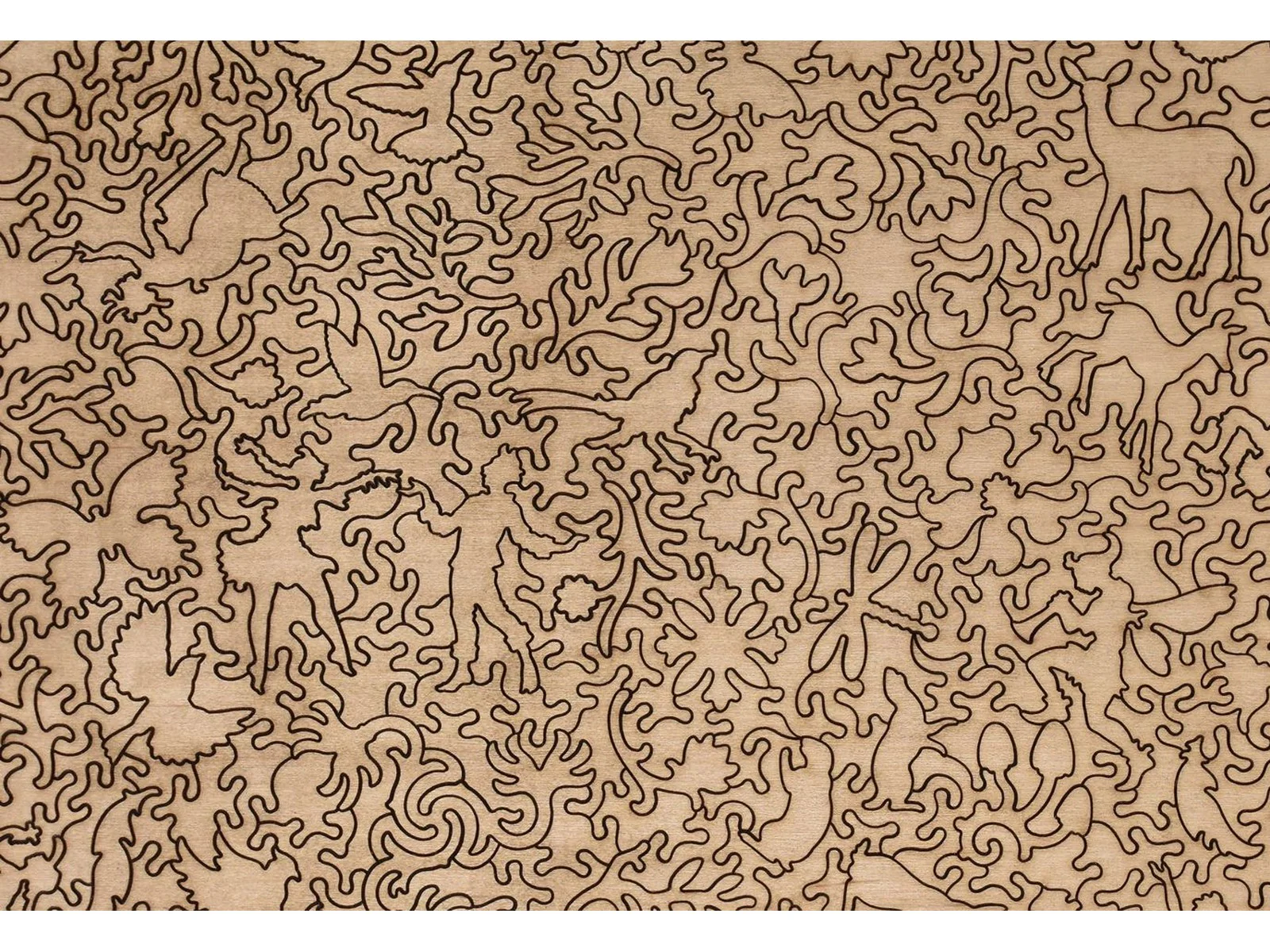 Floral Frolic - Image 3
