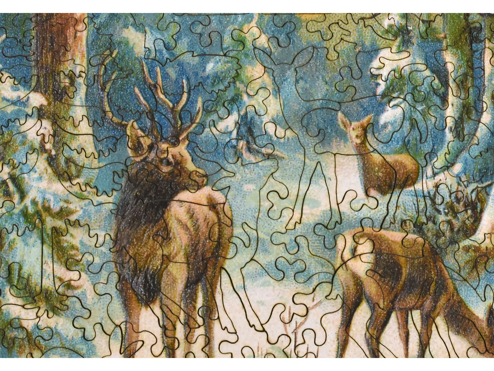 Foraging at First Light - Image 2