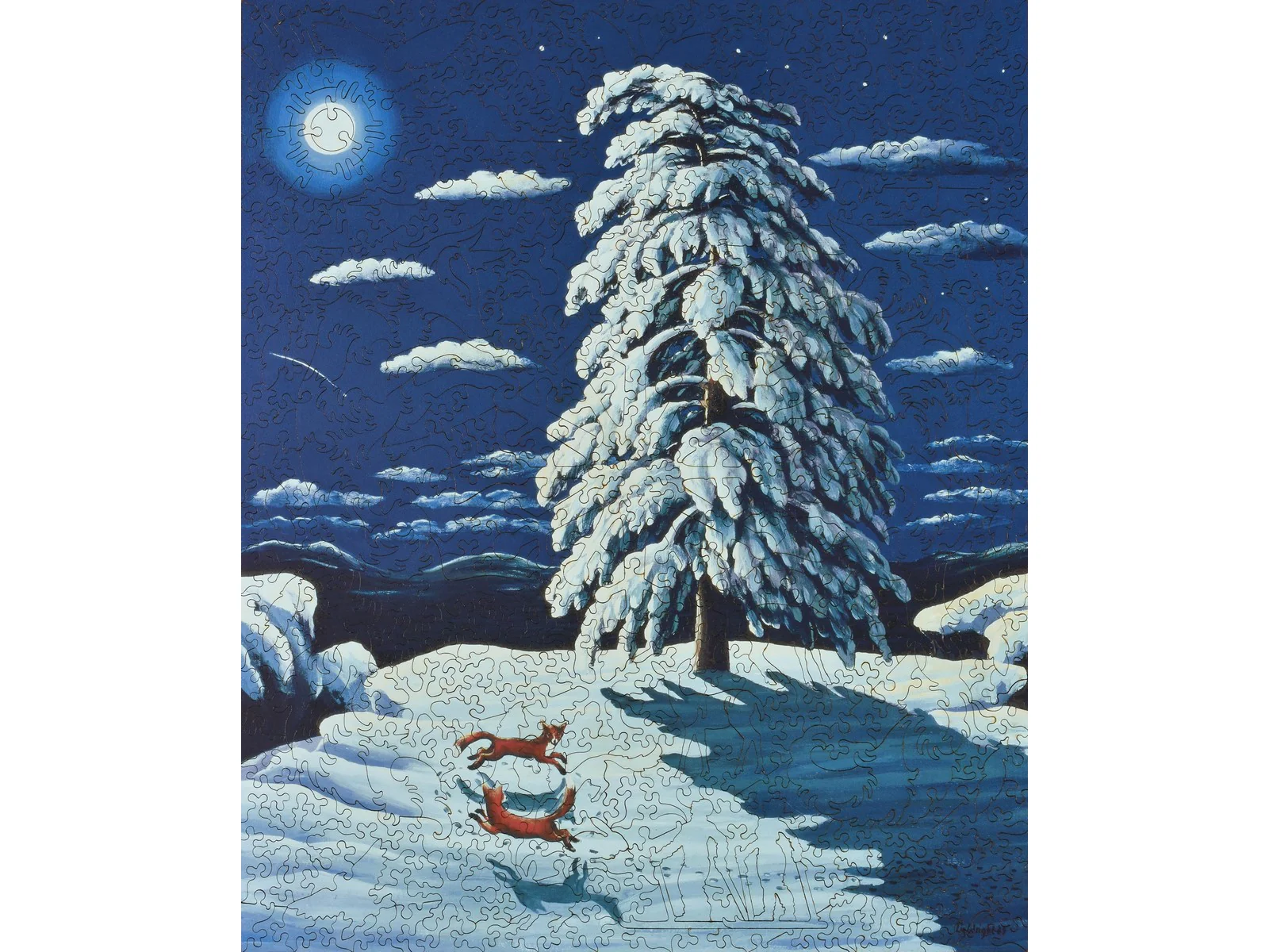Foxes in the Moonlight