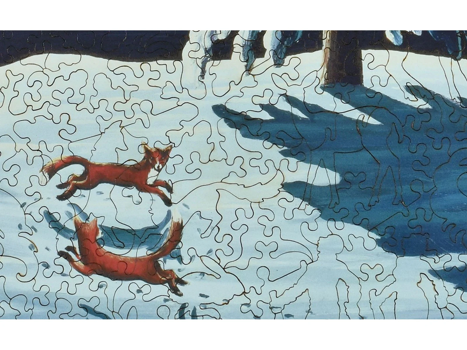Foxes in the Moonlight - Image 2