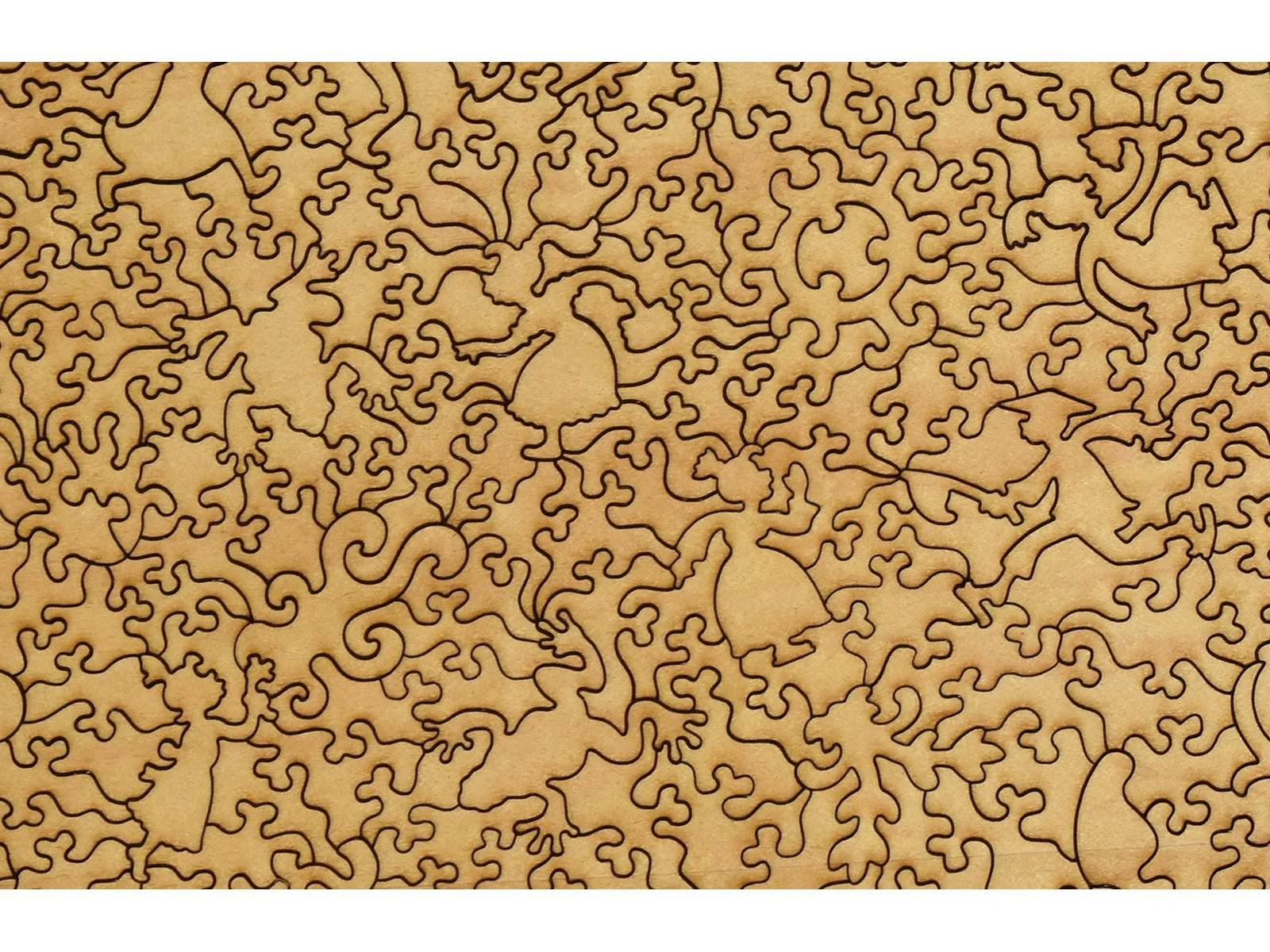 Frog - Image 3