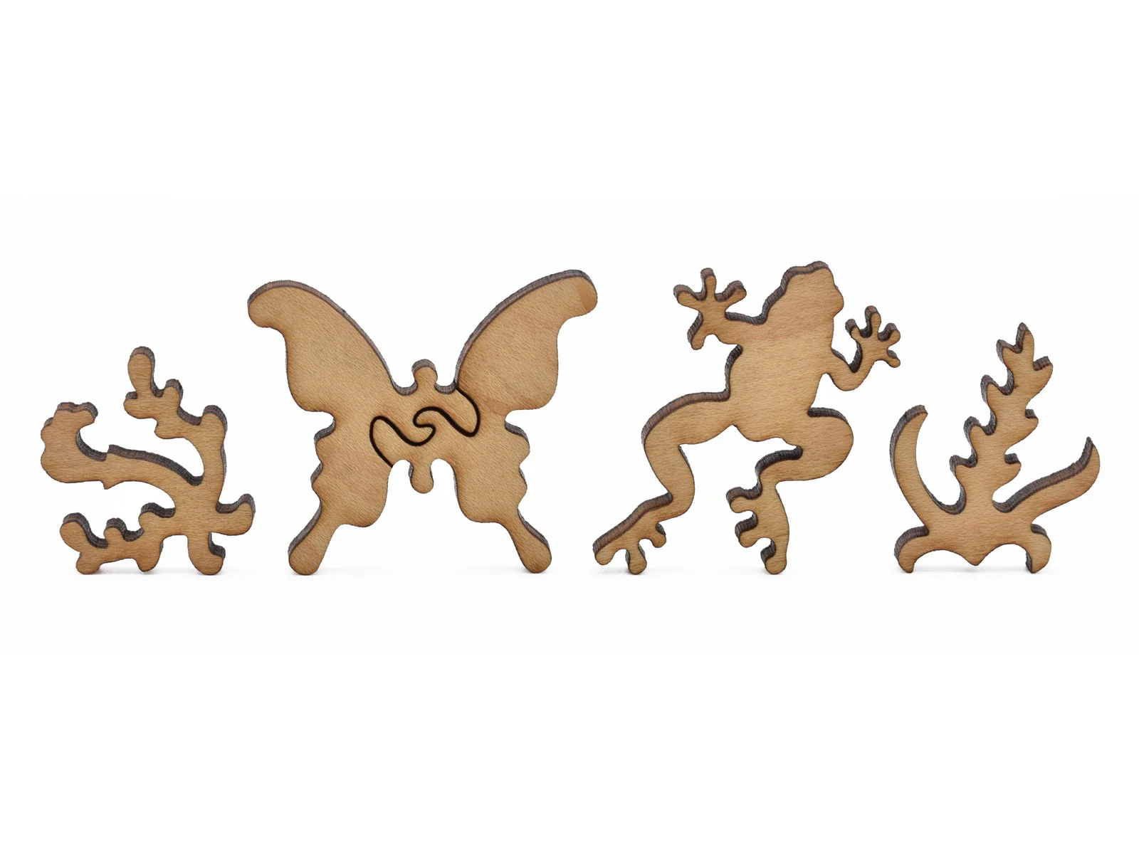 Frog - Image 6