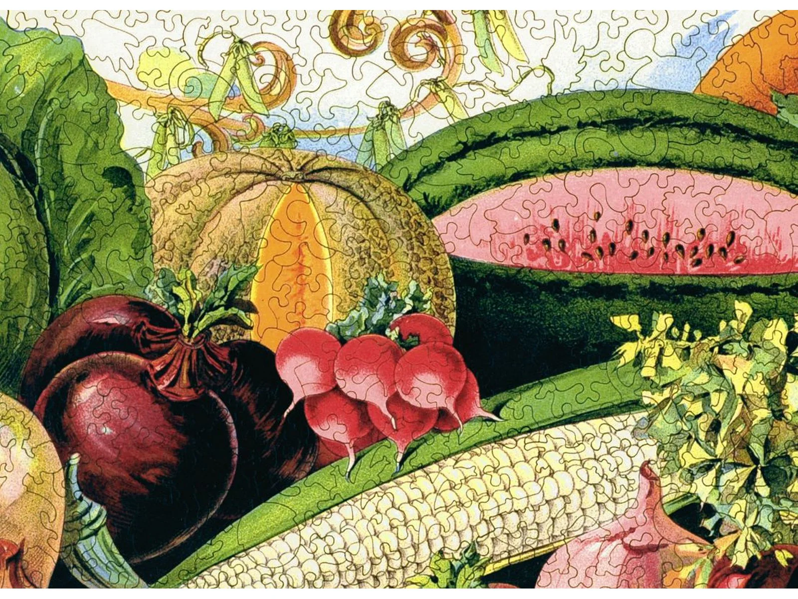 Garden Harvest - Image 2