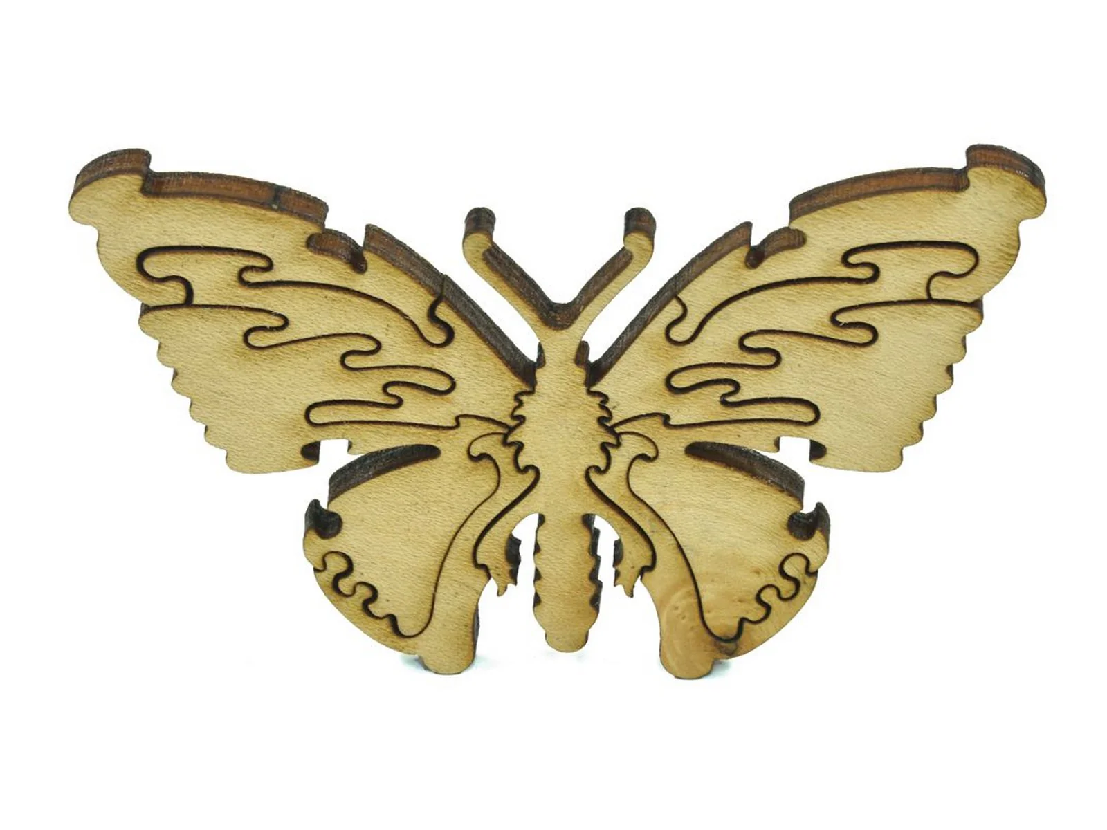 German Butterflies - Image 6
