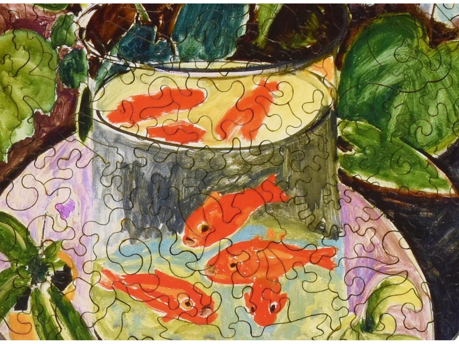 Goldfish - Image 2