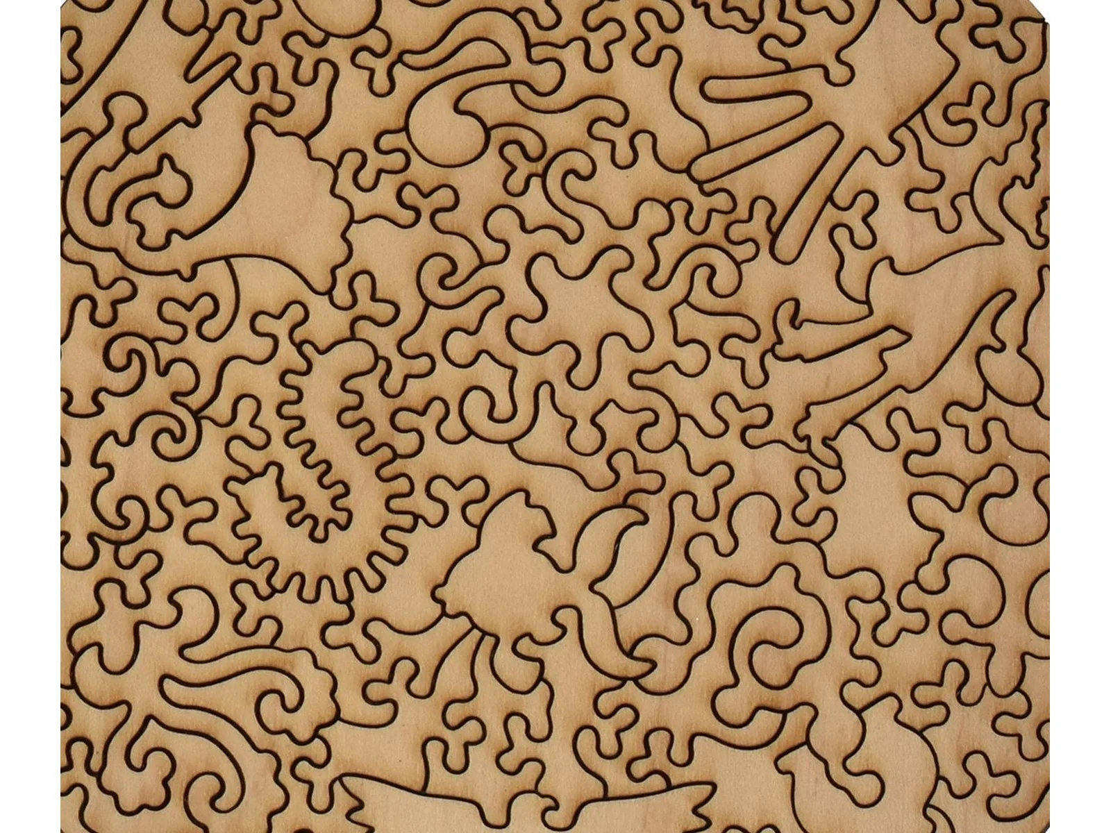 Goldfish - Image 3