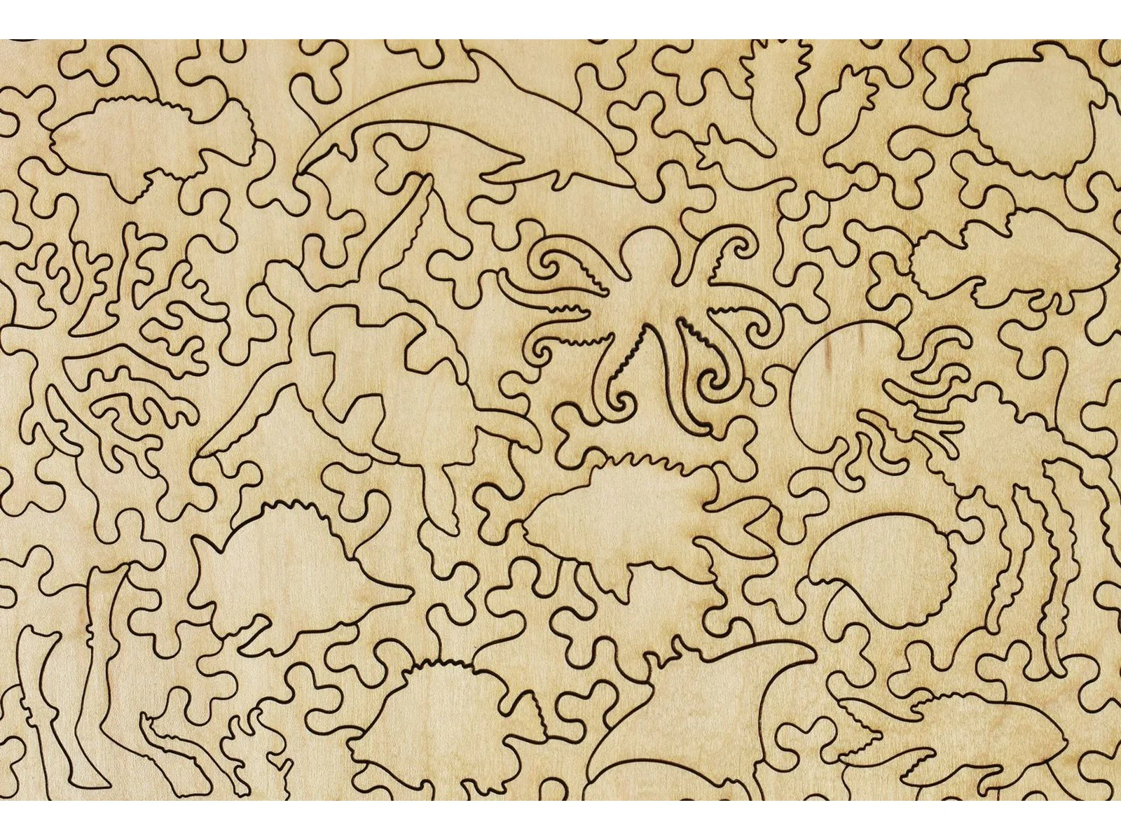 Great Barrier Reef Echinoderms and Fish (Large Piece) - Image 3
