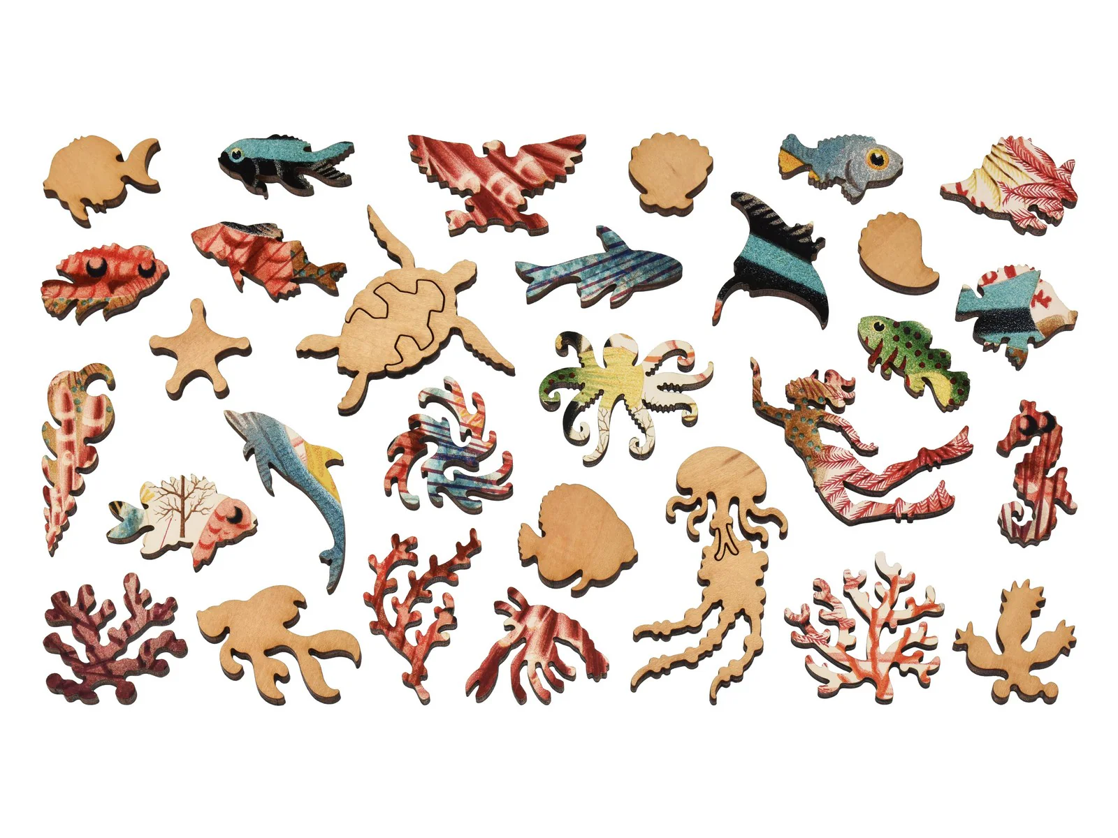 Great Barrier Reef Echinoderms and Fish (Large Piece) - Image 4