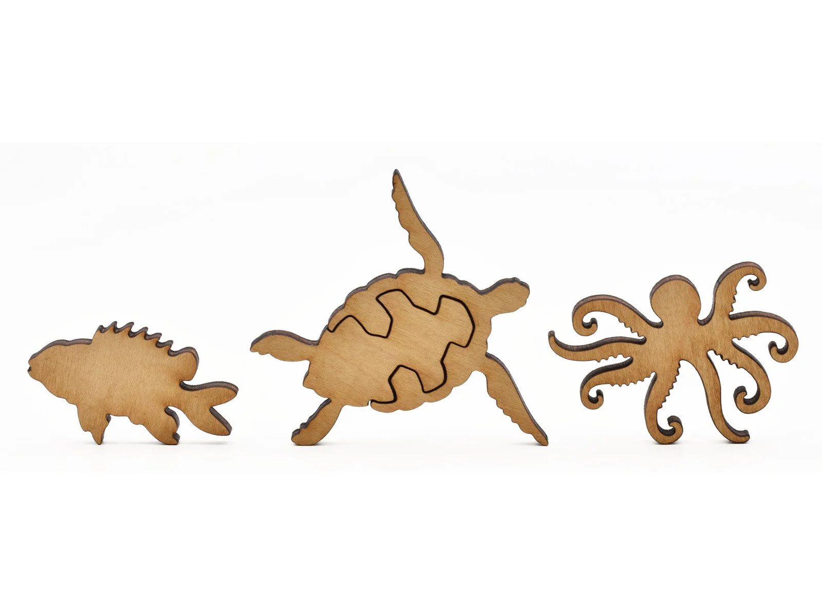 Great Barrier Reef Echinoderms and Fish (Large Piece) - Image 7