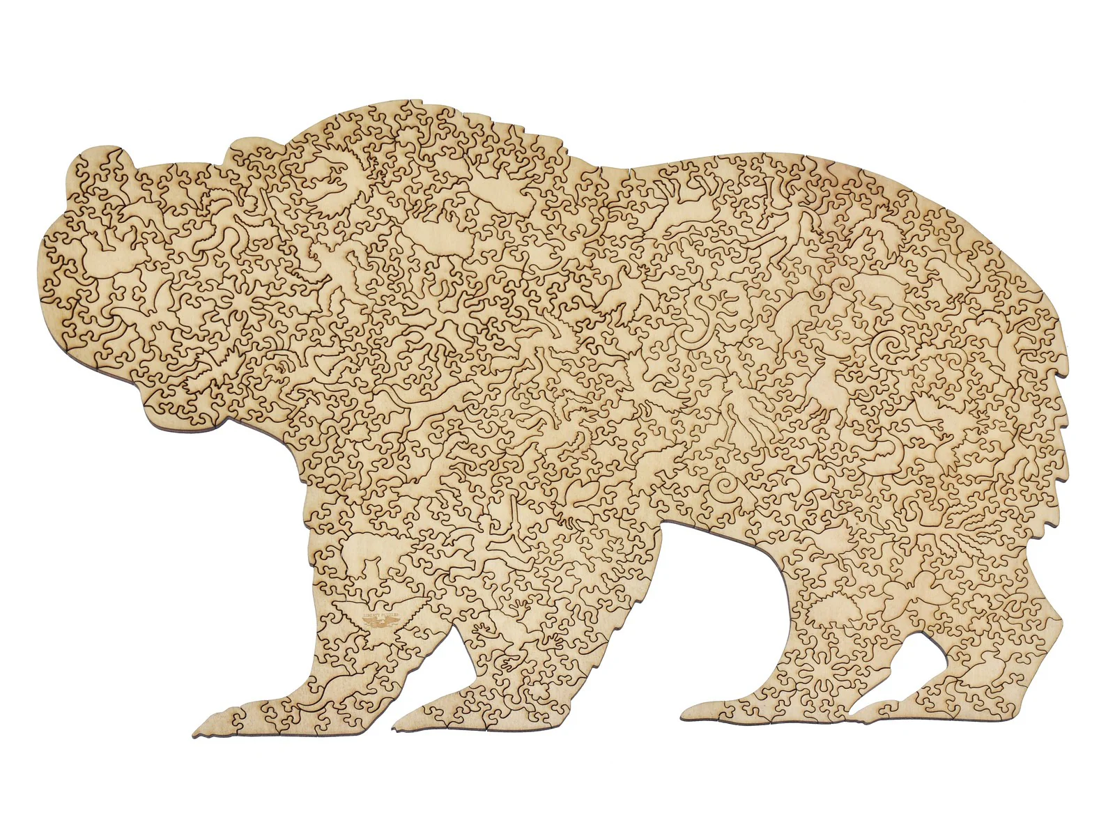 Grizzly Bear - Image 3