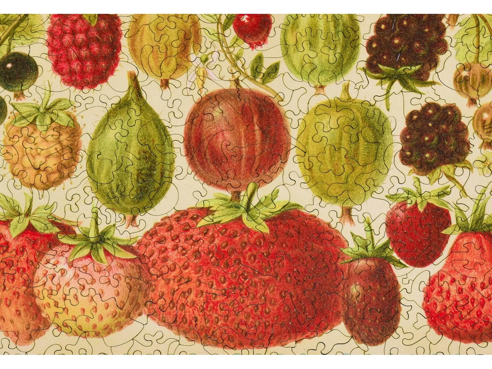 Heirloom Berry Assortment - Image 2