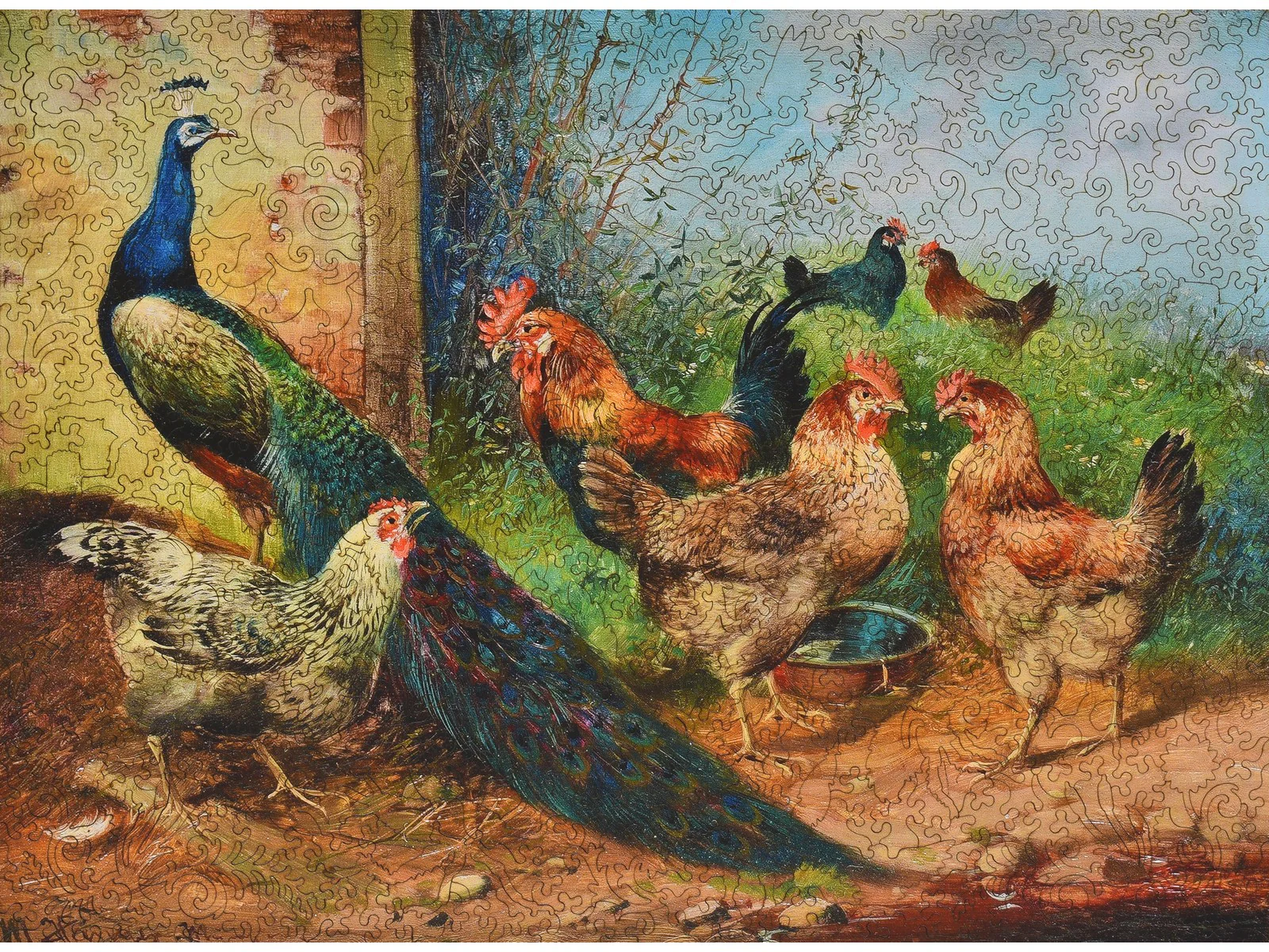 Hens and Peacock