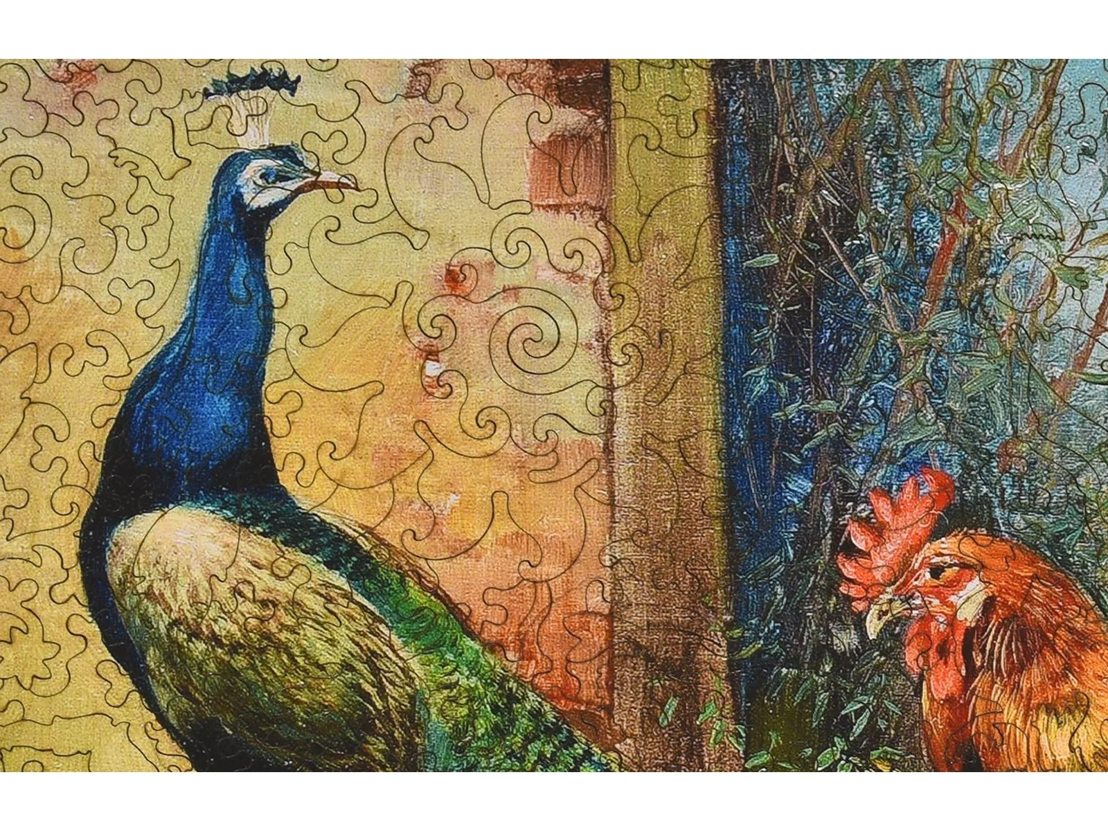 Hens and Peacock - Image 2