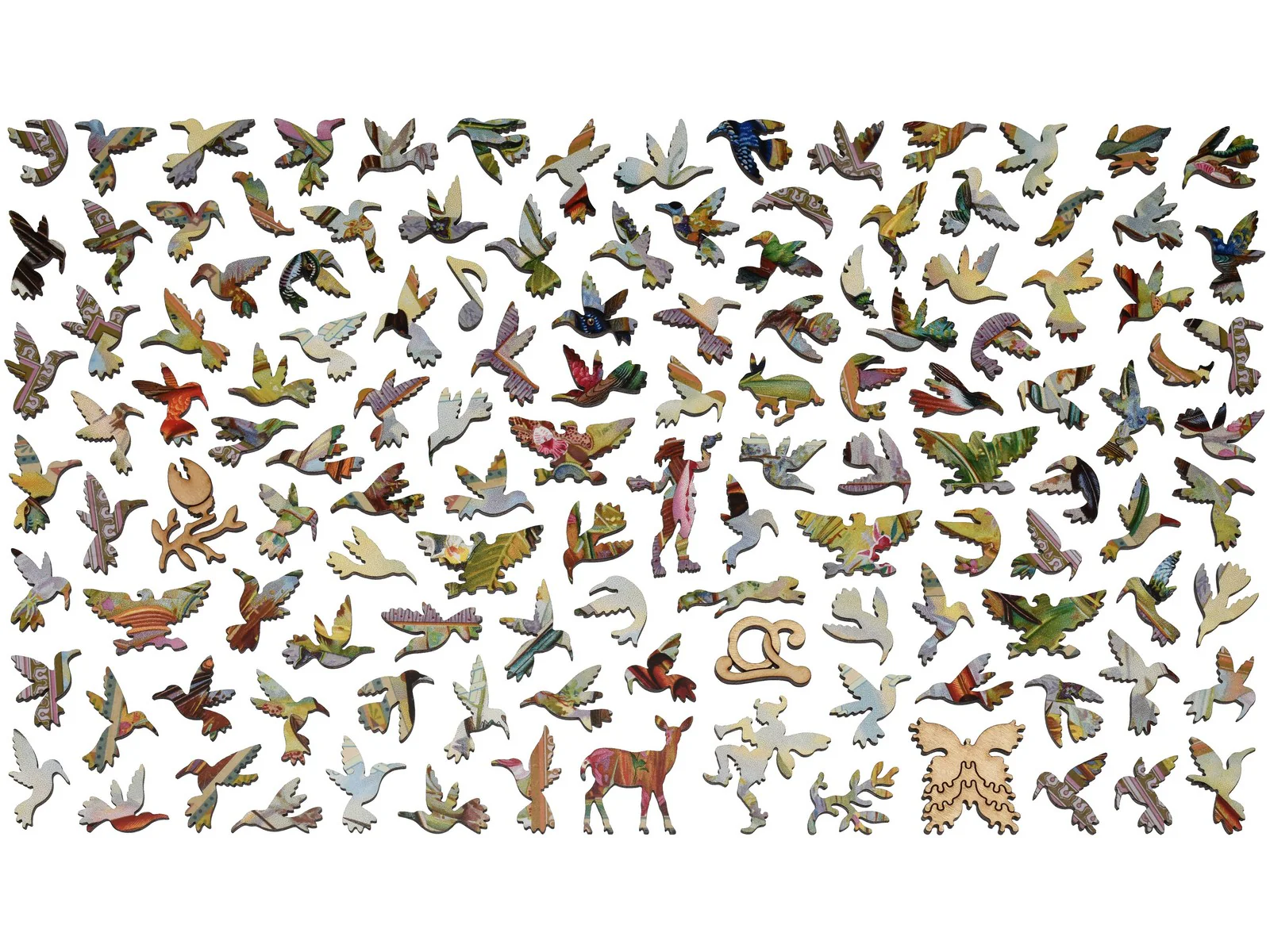 Hummingbird Collection - Image 4