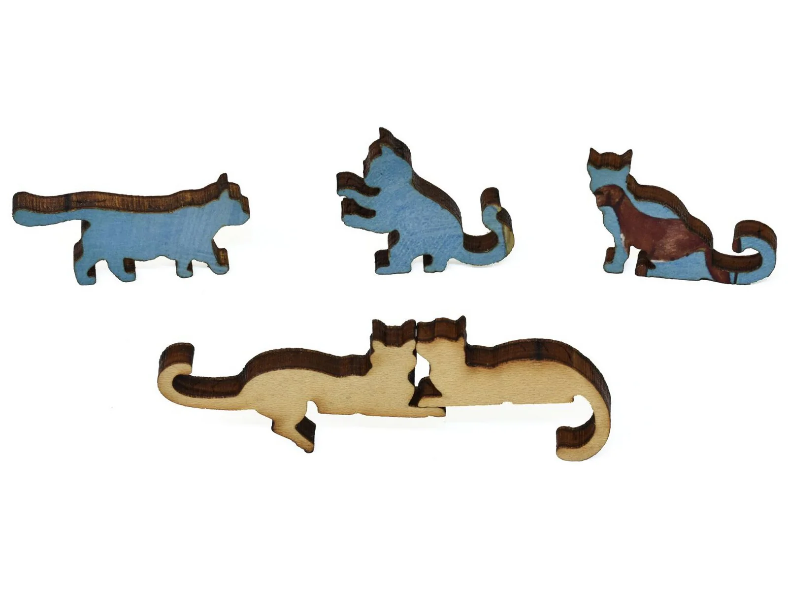 It's Raining Cats and Dogs - Image 5