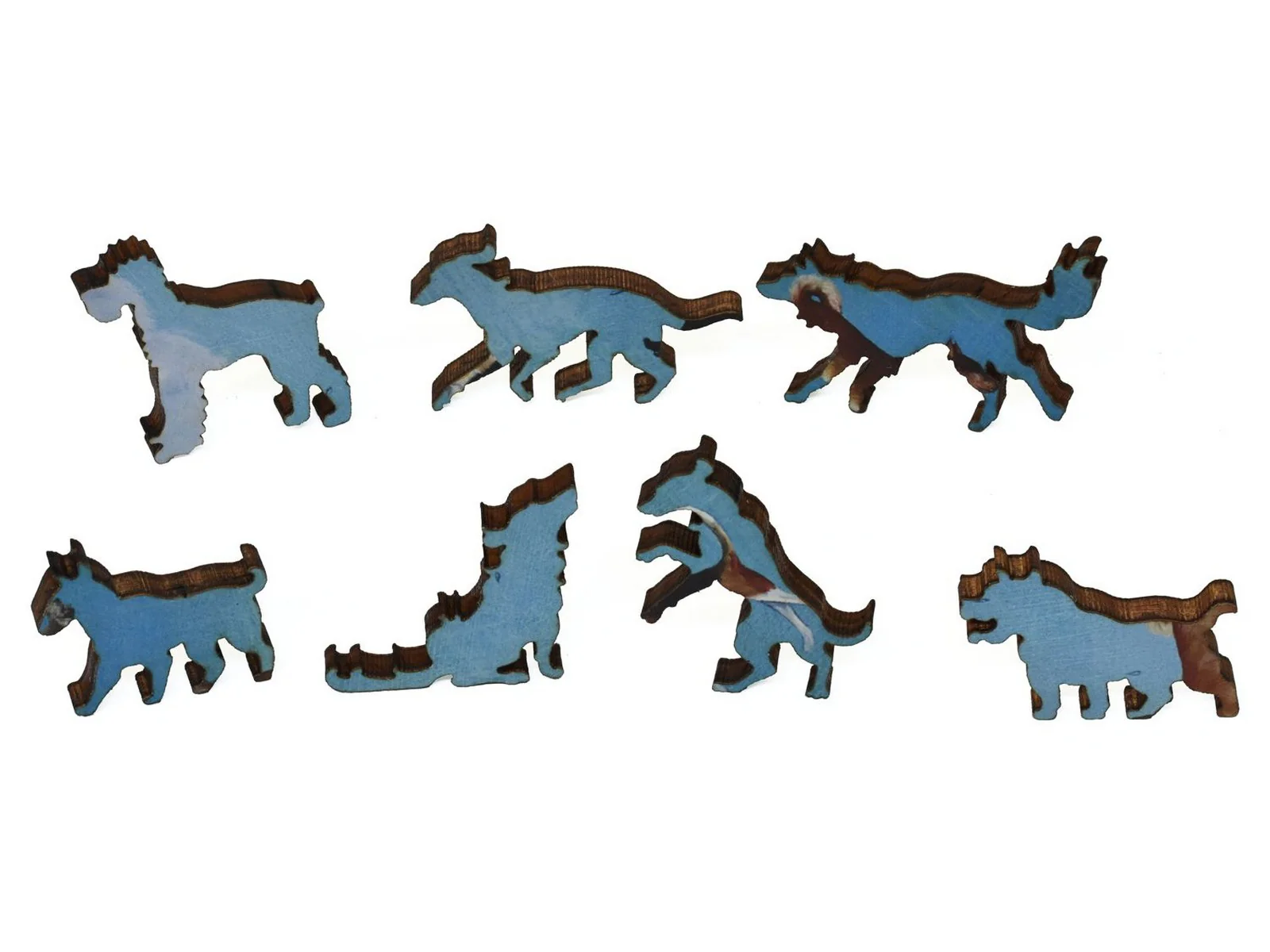 It's Raining Cats and Dogs - Image 7