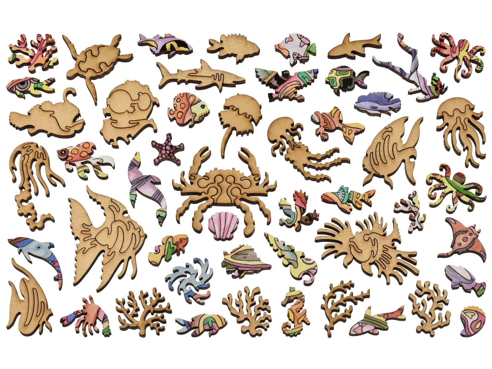 Jellyfish - Image 4