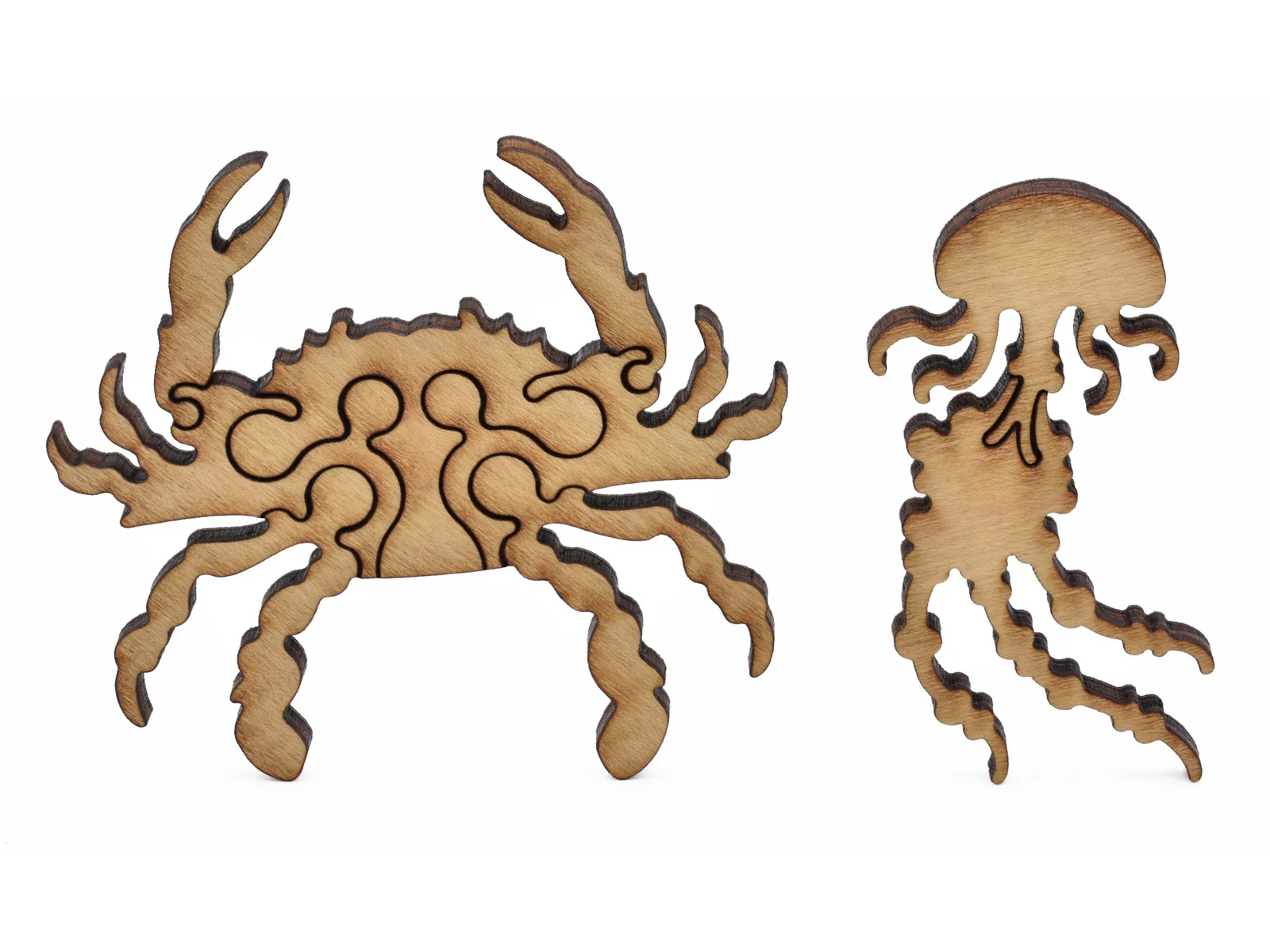 Jellyfish - Image 5
