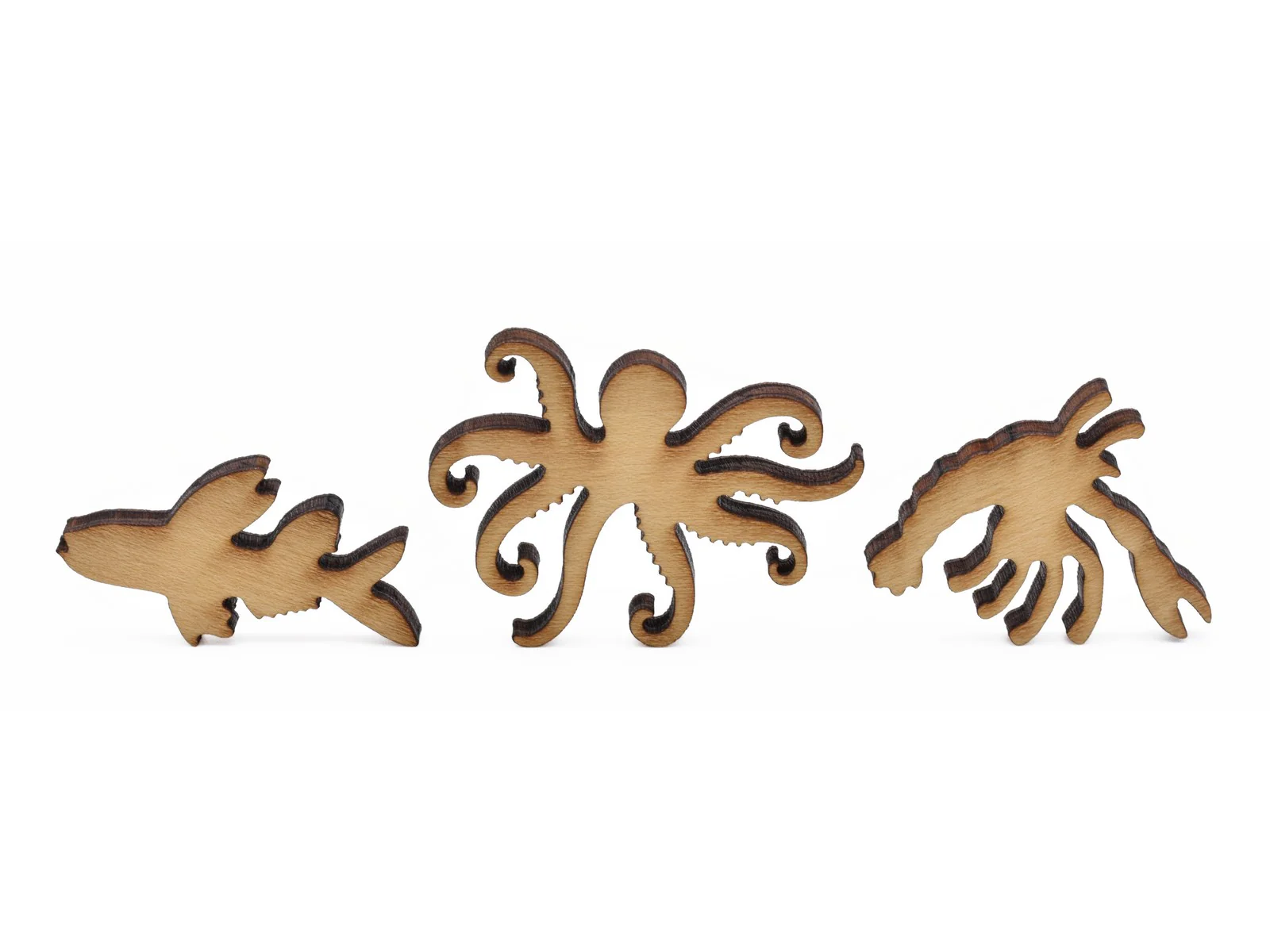 Jellyfish - Image 8