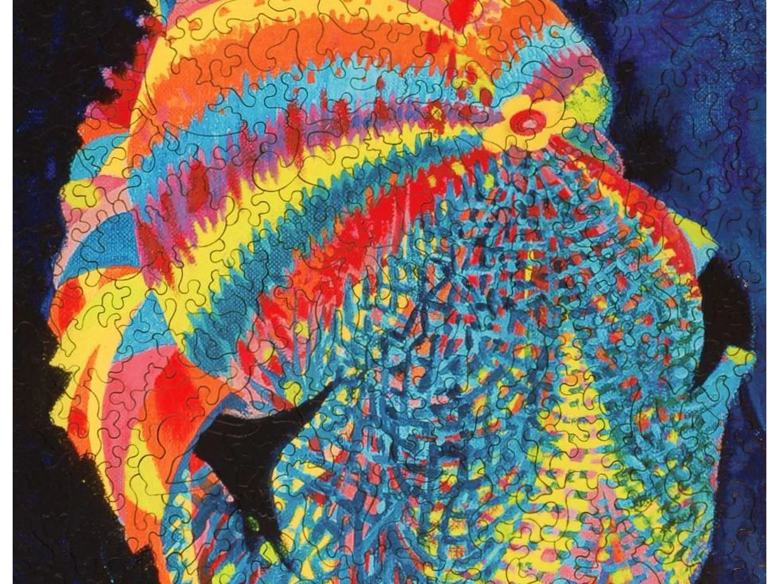 Joseph Katz and His Coat of Many Colors - Image 2