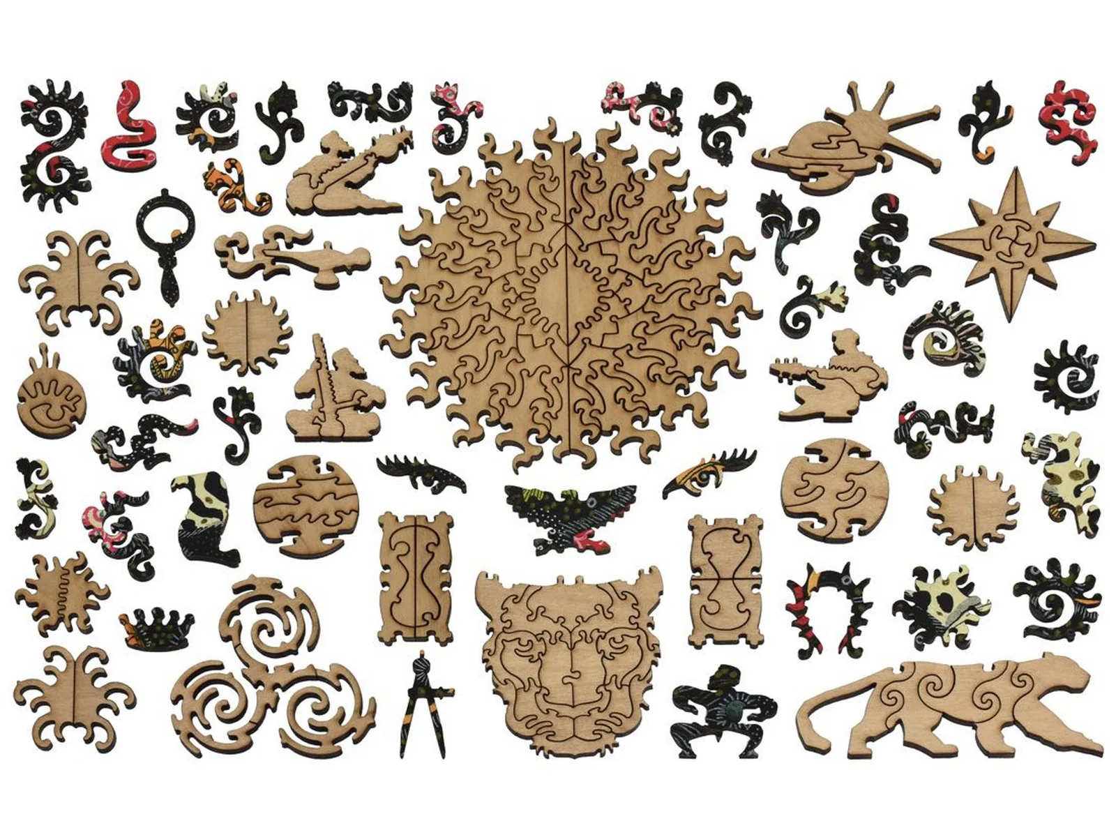 Leopard - Image 4