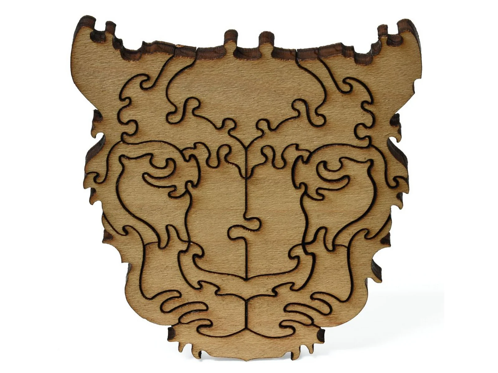 Leopard - Image 5