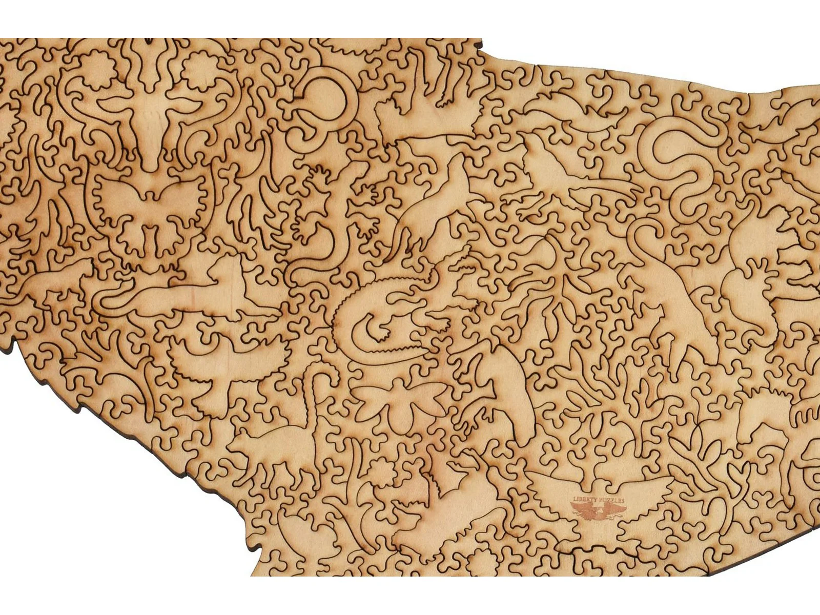 Lion - Image 3