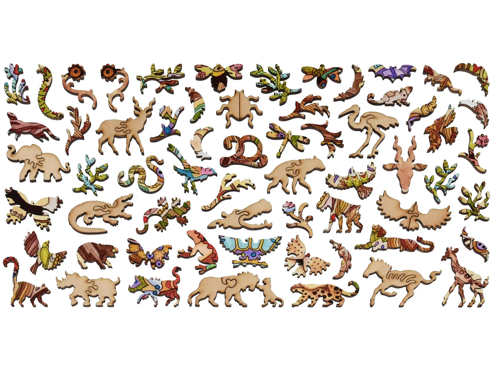 Lion - Image 4