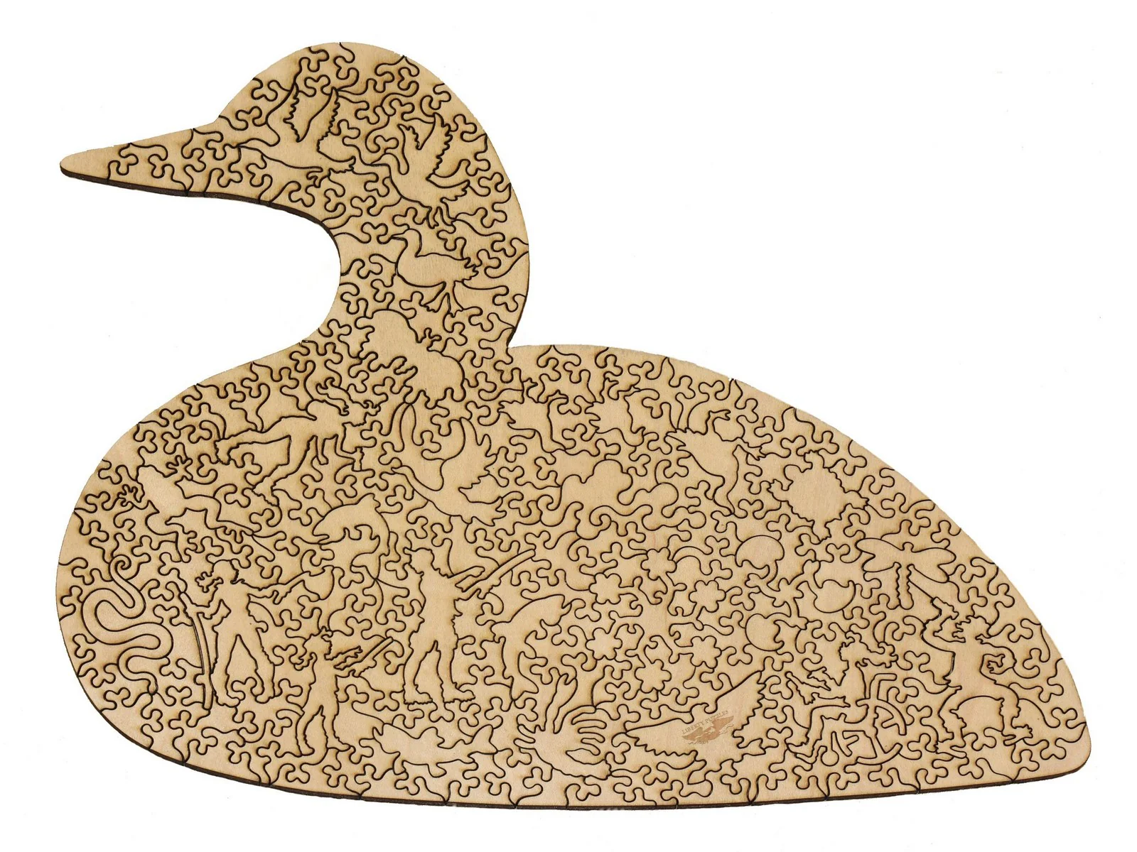 Loon - Image 3