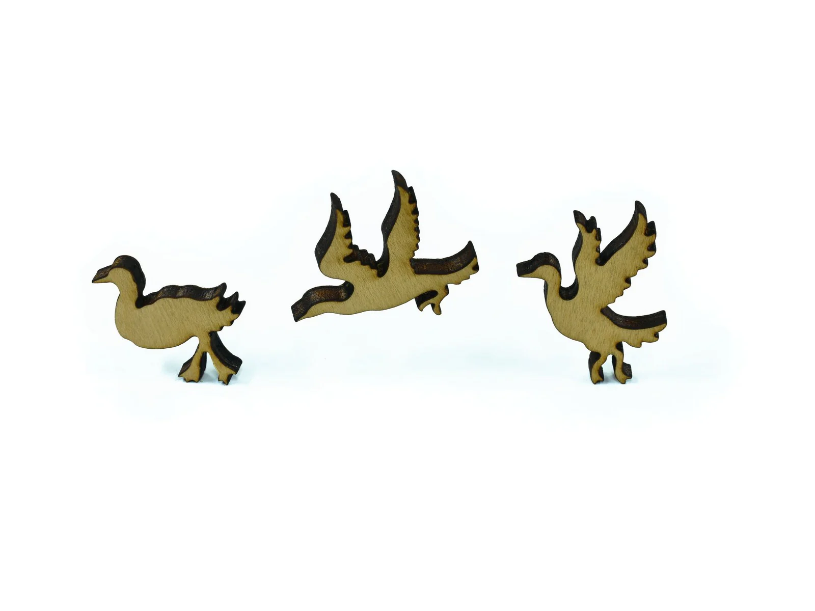 Loon - Image 6