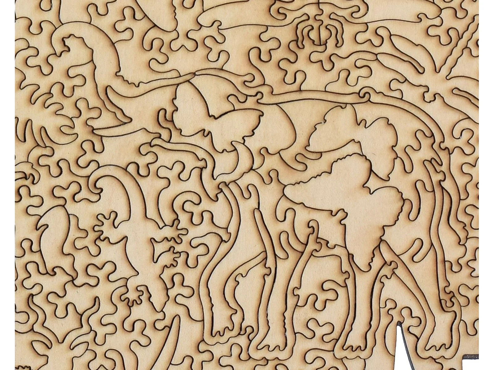 Mabula Elephant - Image 3