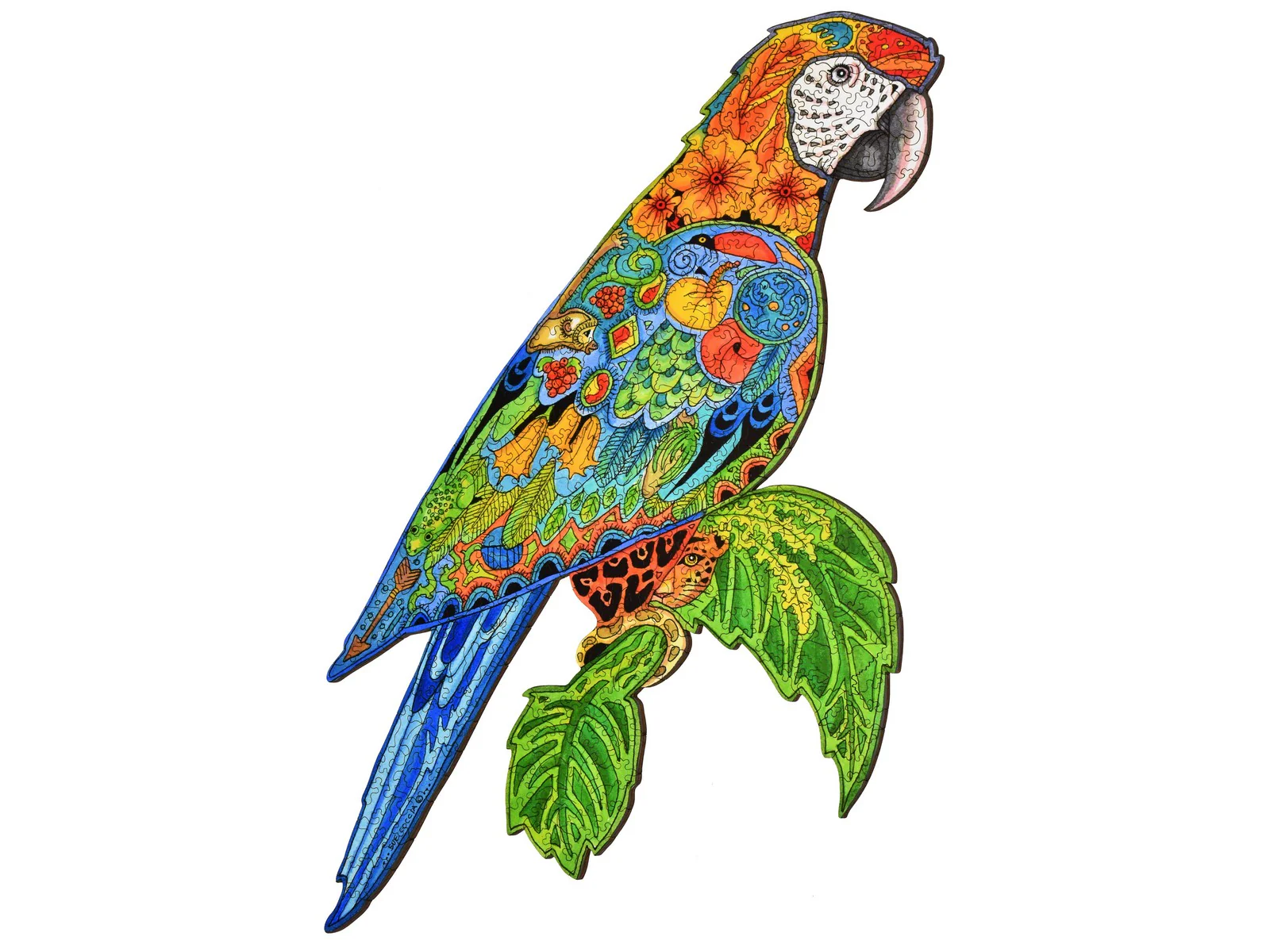 Macaw