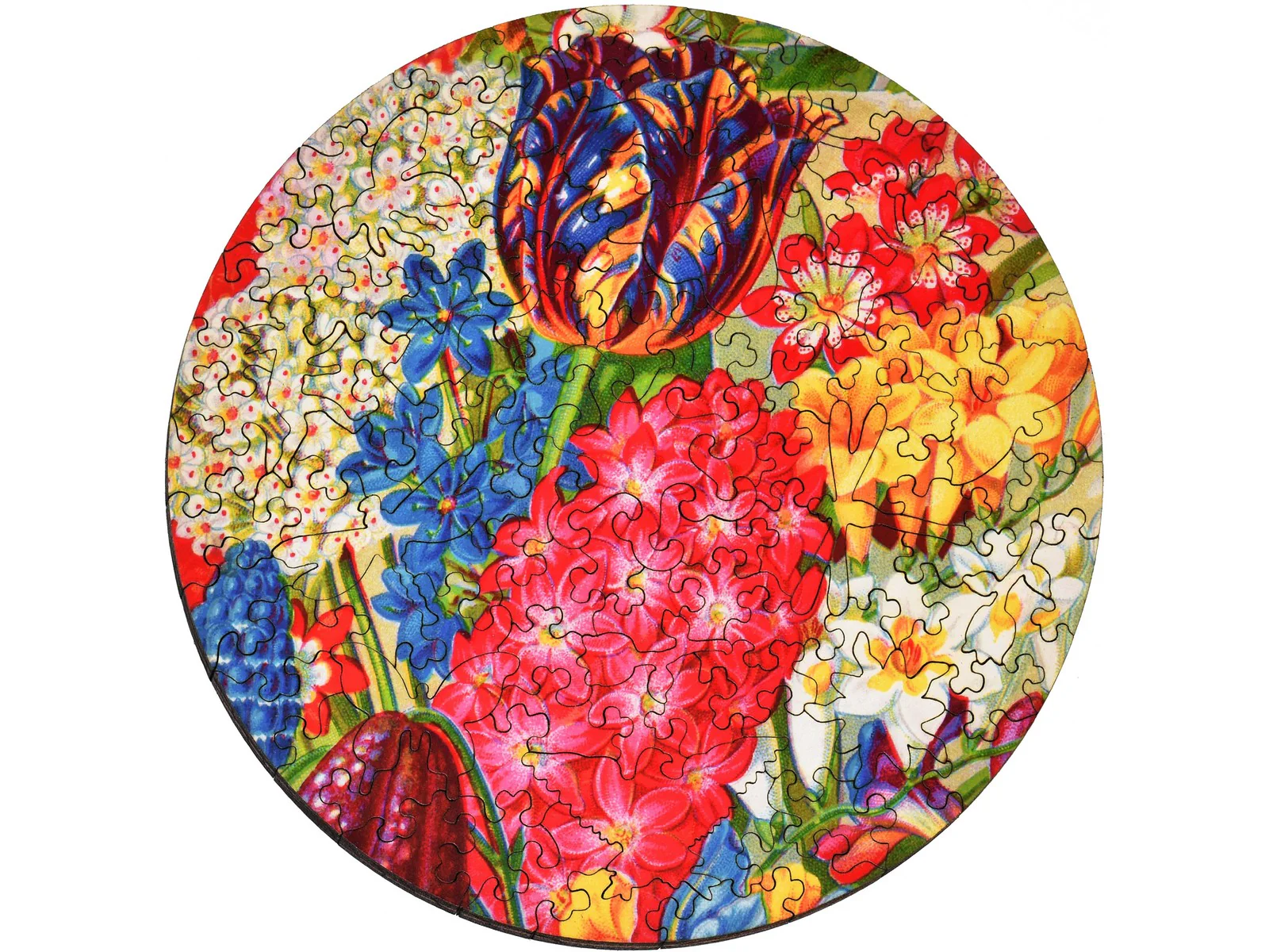 Mayflower Premium Bulbs