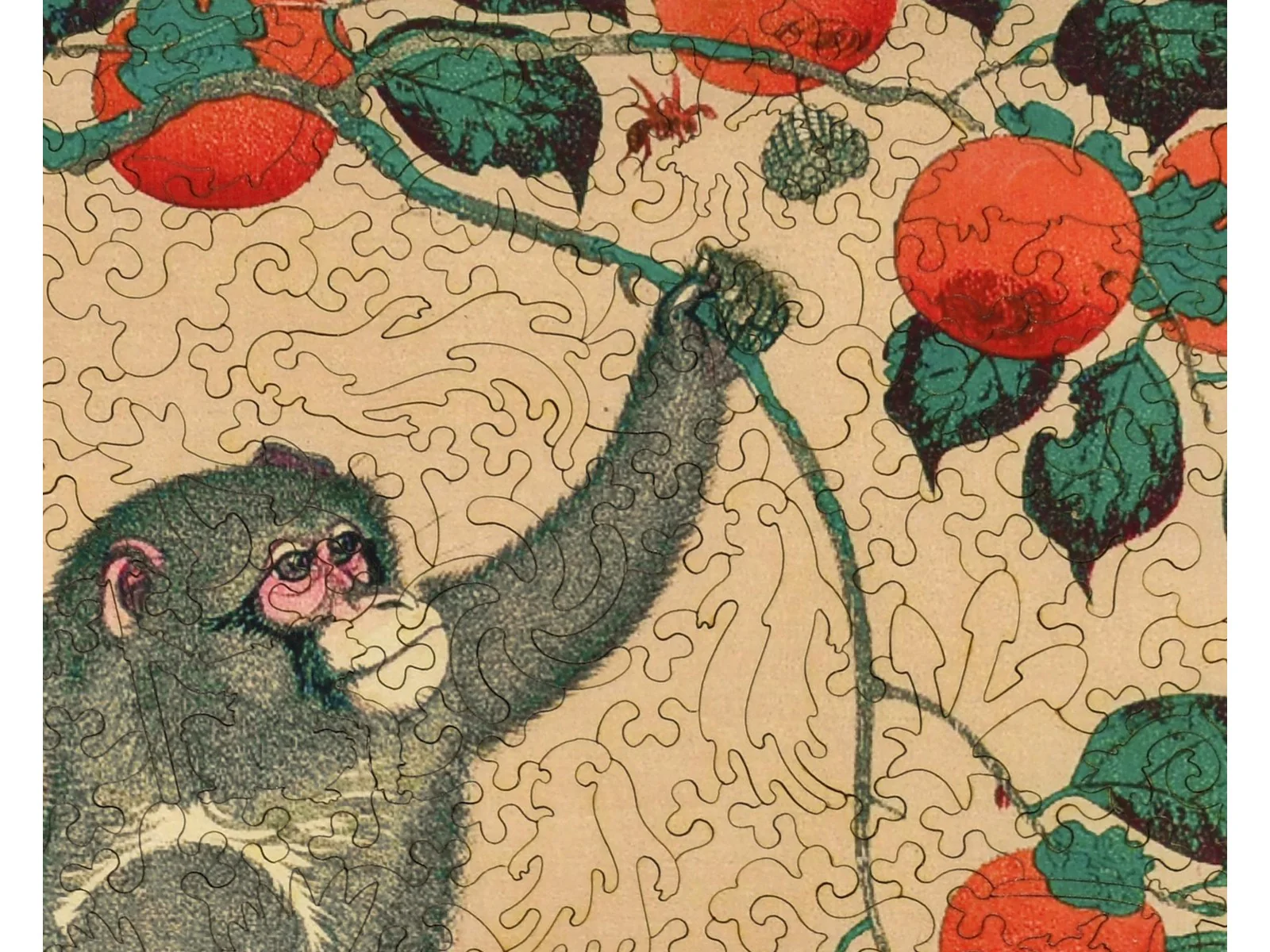 Monkey in Persimmon Tree - Image 2