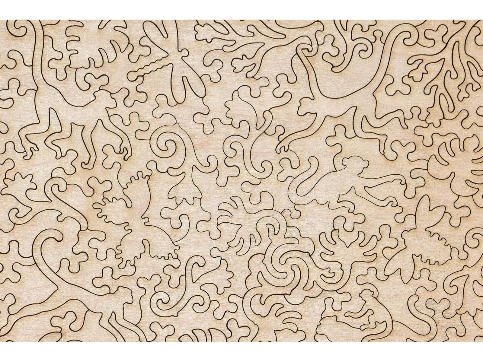 Monkeys - Image 3
