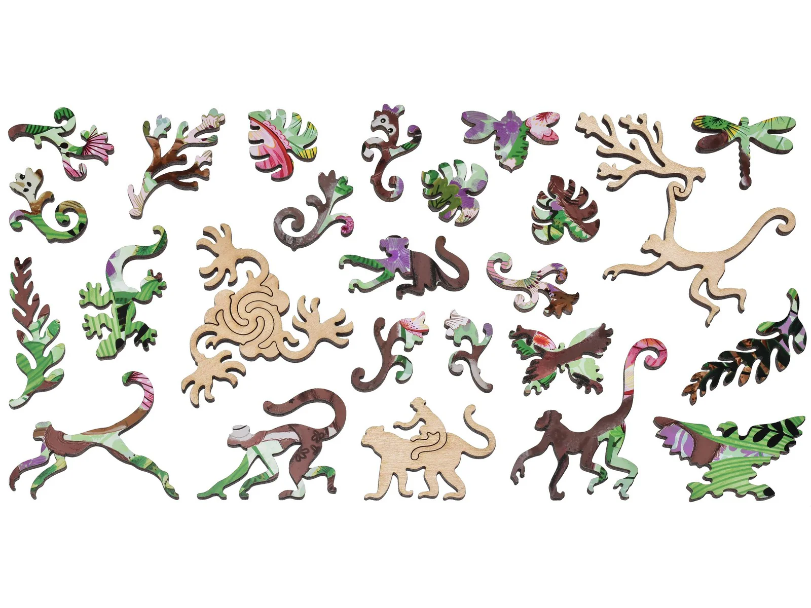 Monkeys - Image 4