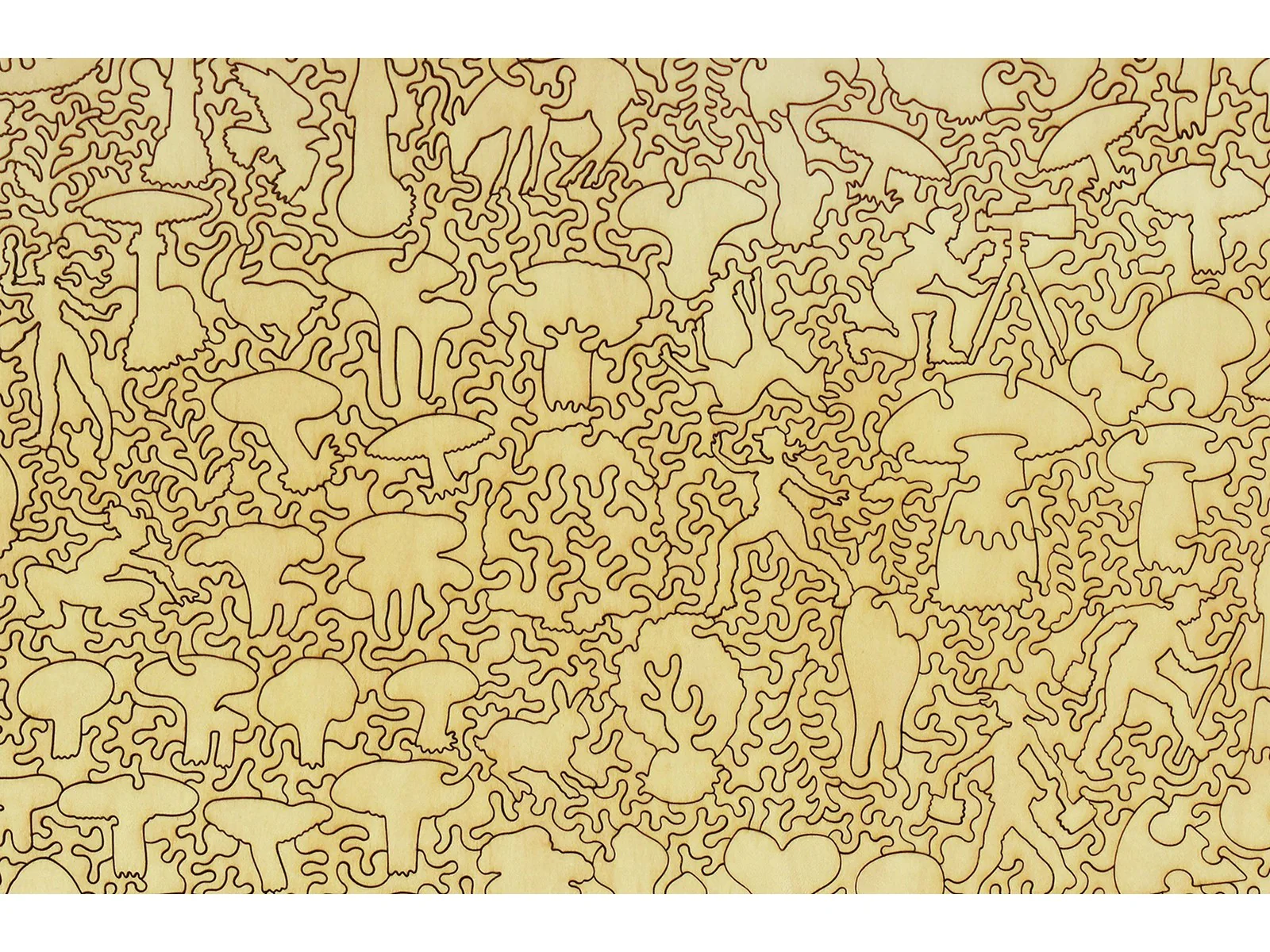 Mushrooms - Image 3