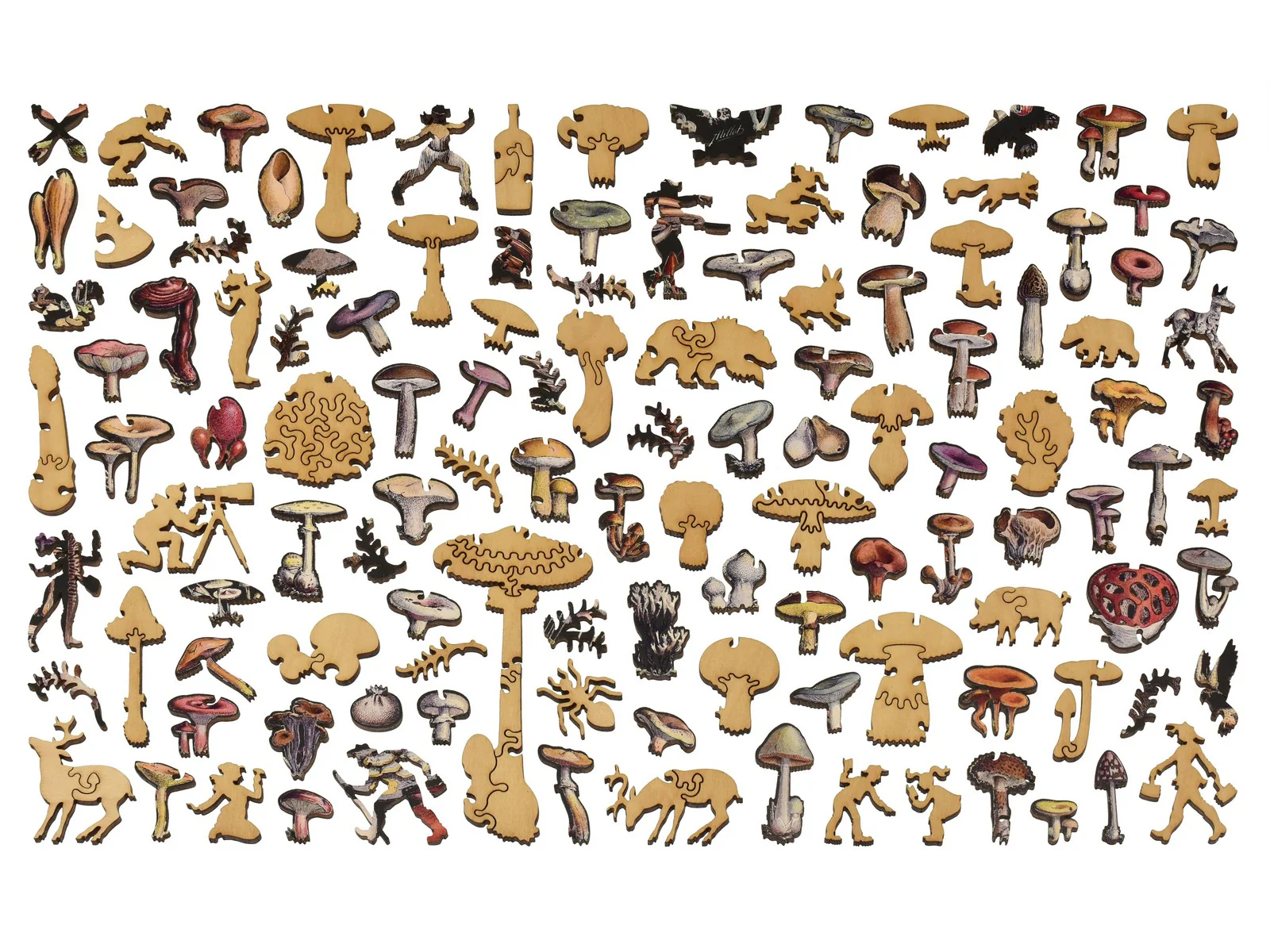 Mushrooms - Image 4