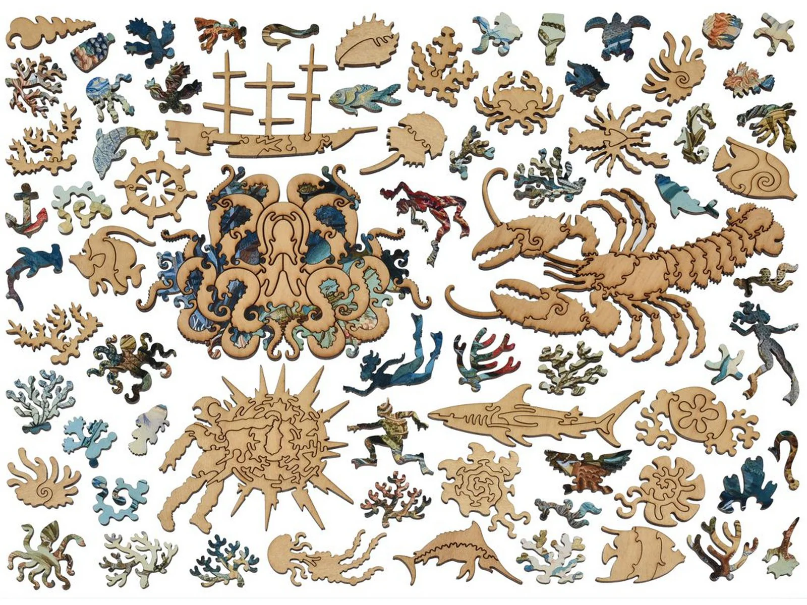 Ocean Life - Image 4