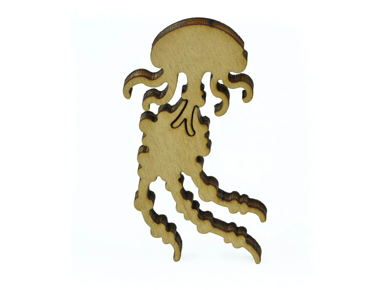 Ocean Life - Image 5