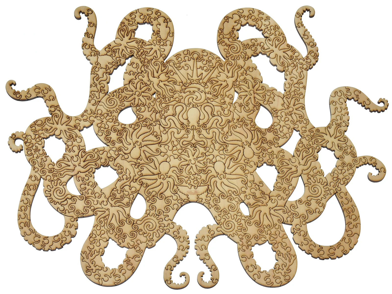 Octopus - Image 3