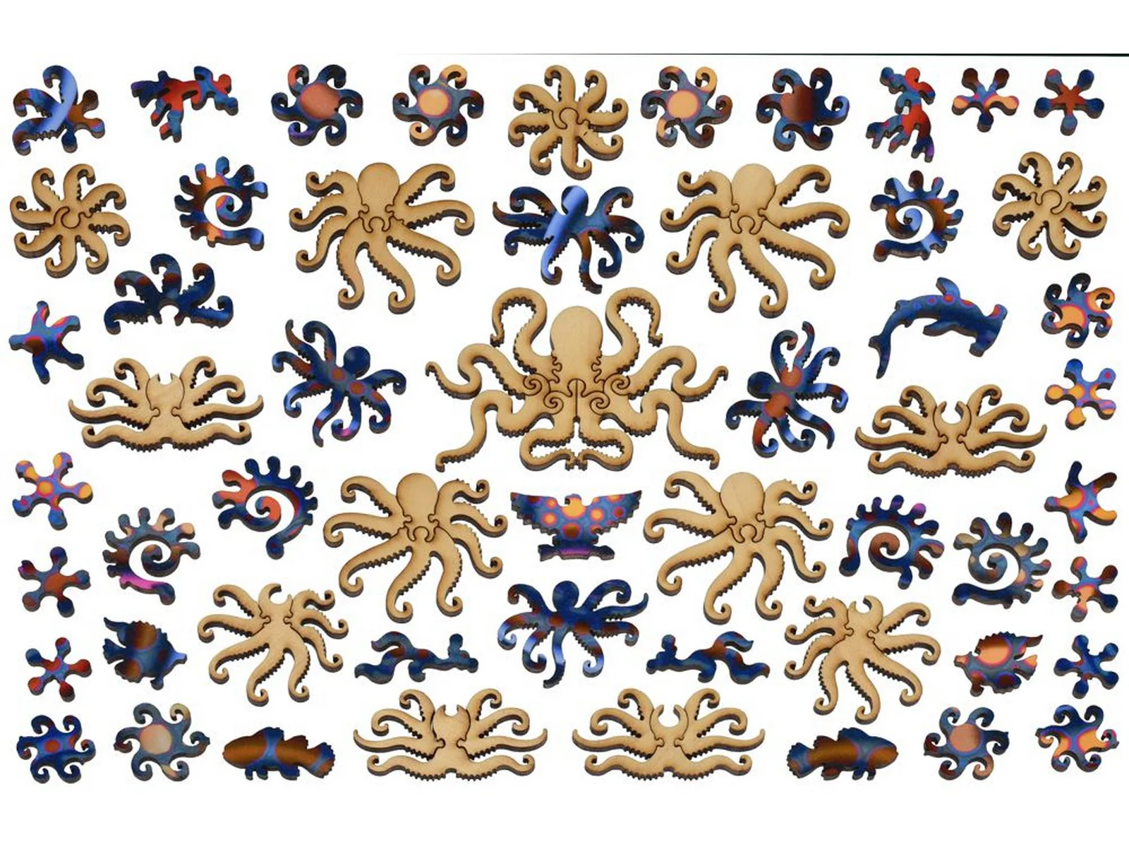 Octopus - Image 4