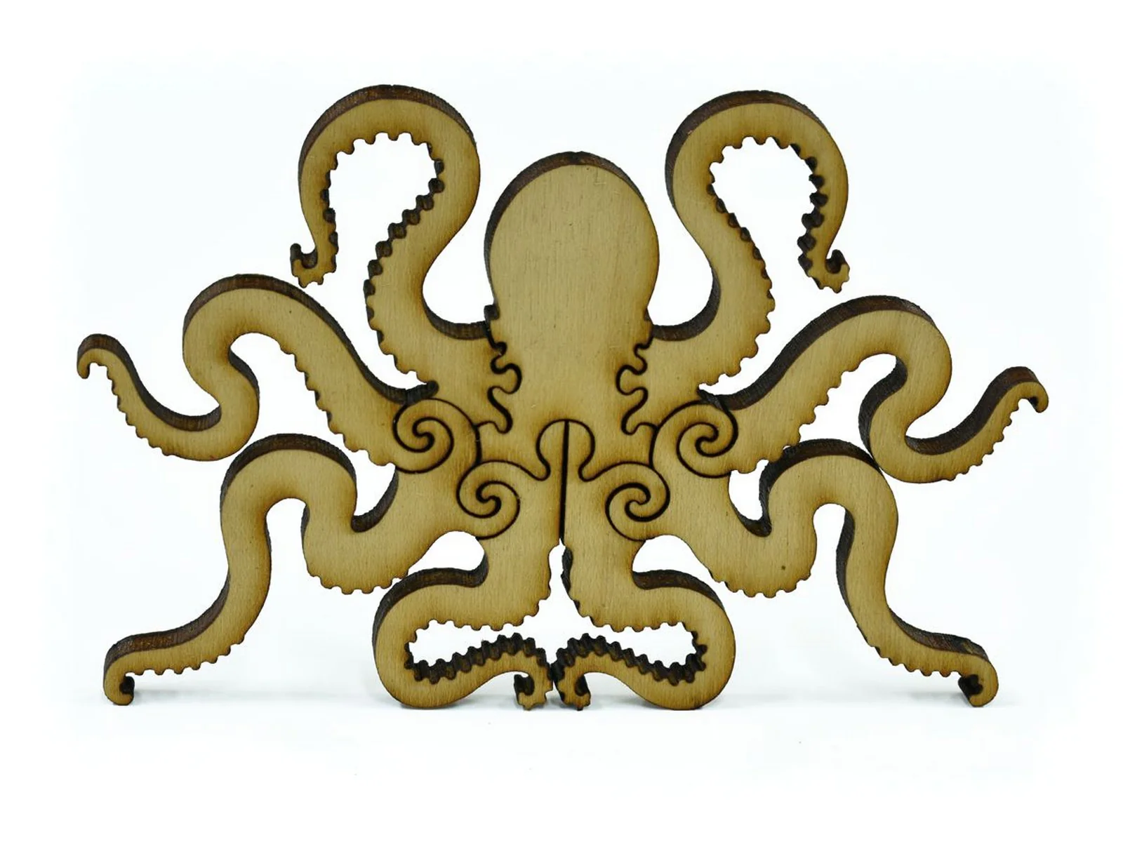 Octopus - Image 5