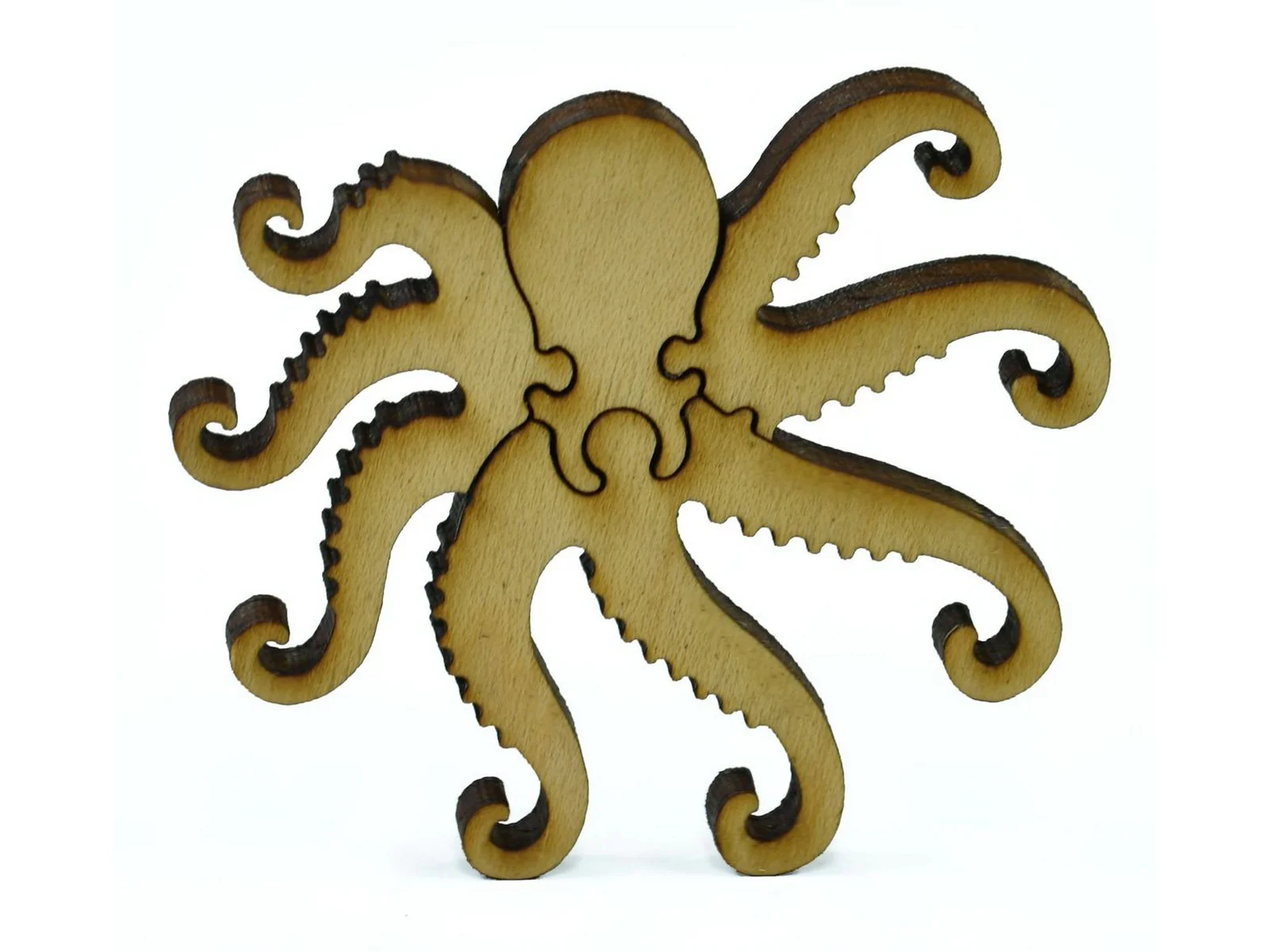 Octopus - Image 6