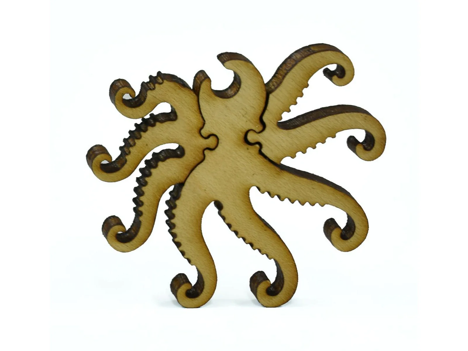 Octopus - Image 7