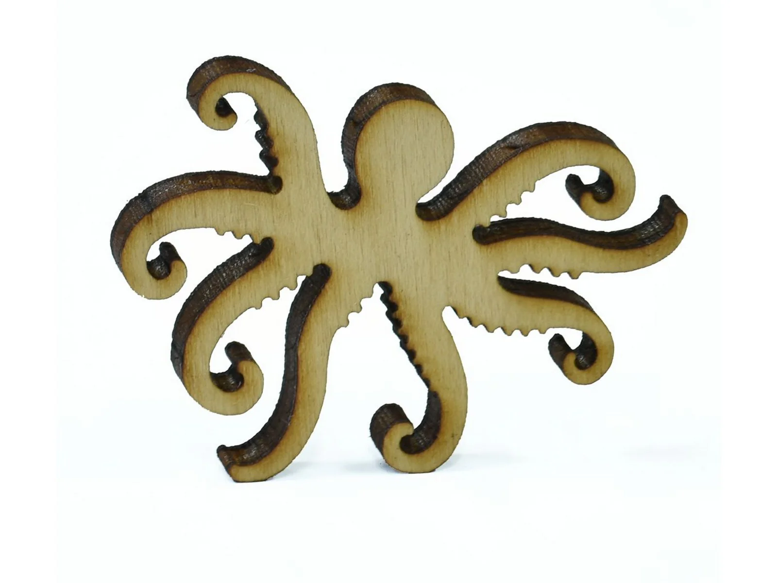 Octopus - Image 8